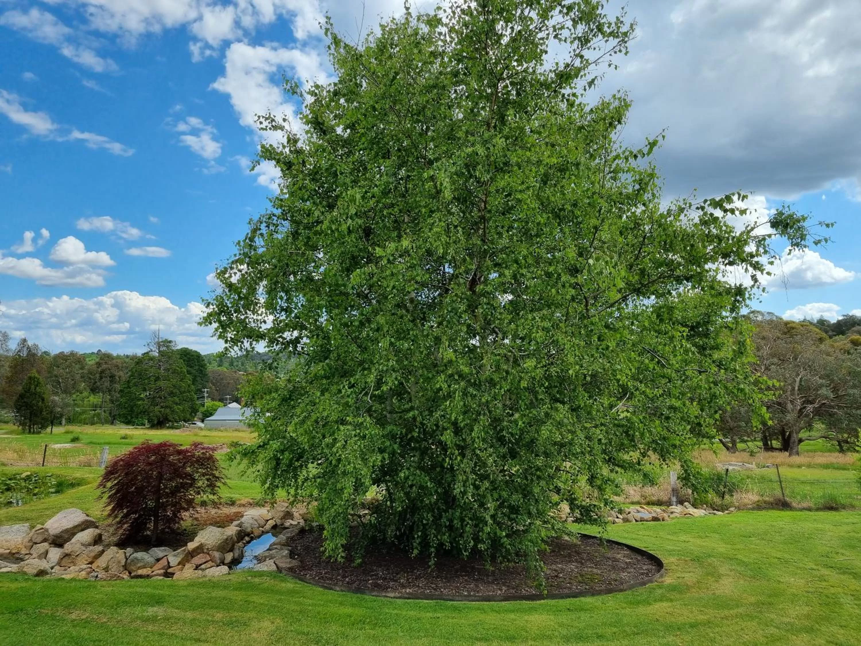 Garden in Golden Heritage Accommodation