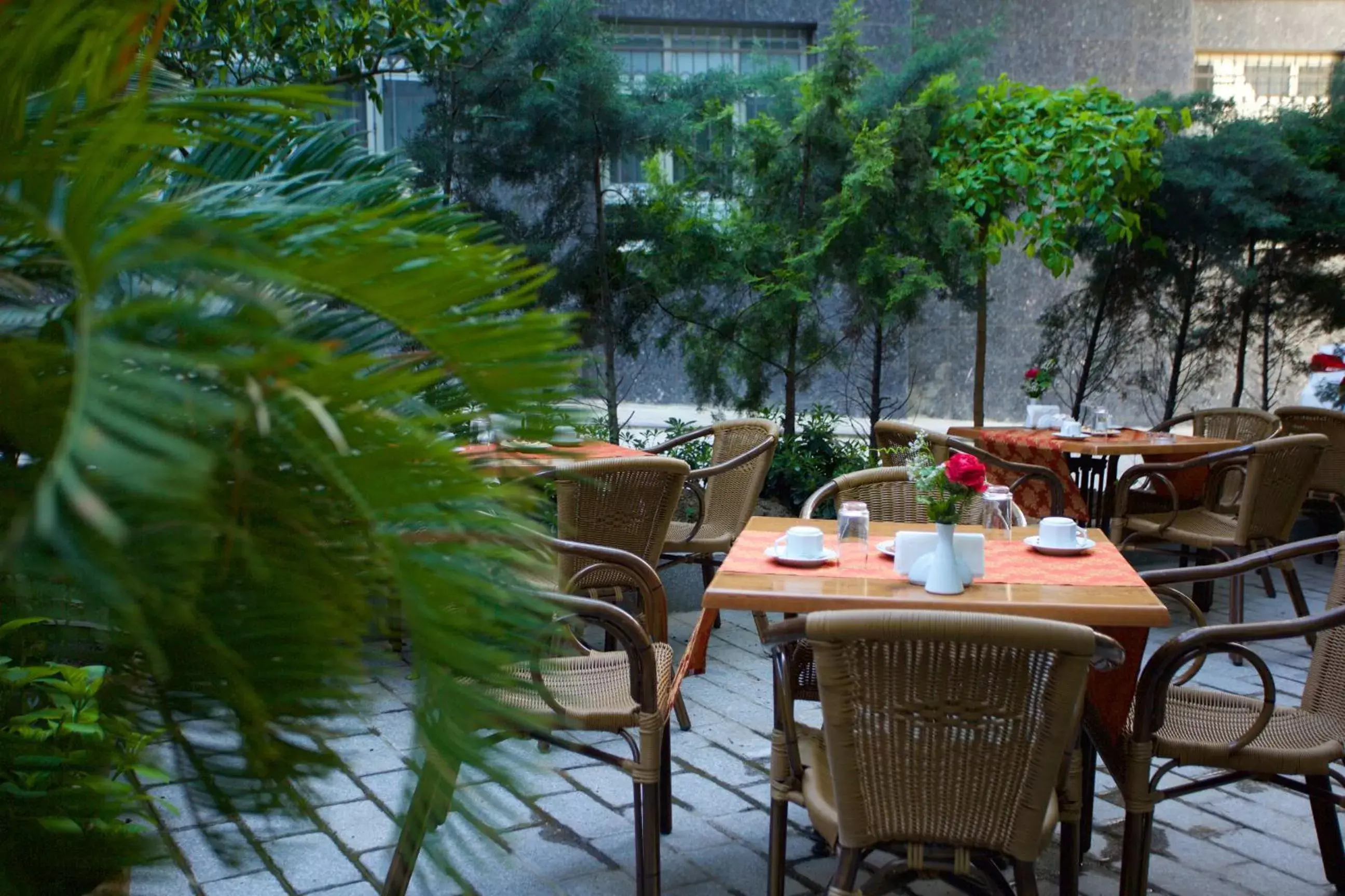 Garden, Restaurant/Places to Eat in Hotel Bulvar Palas