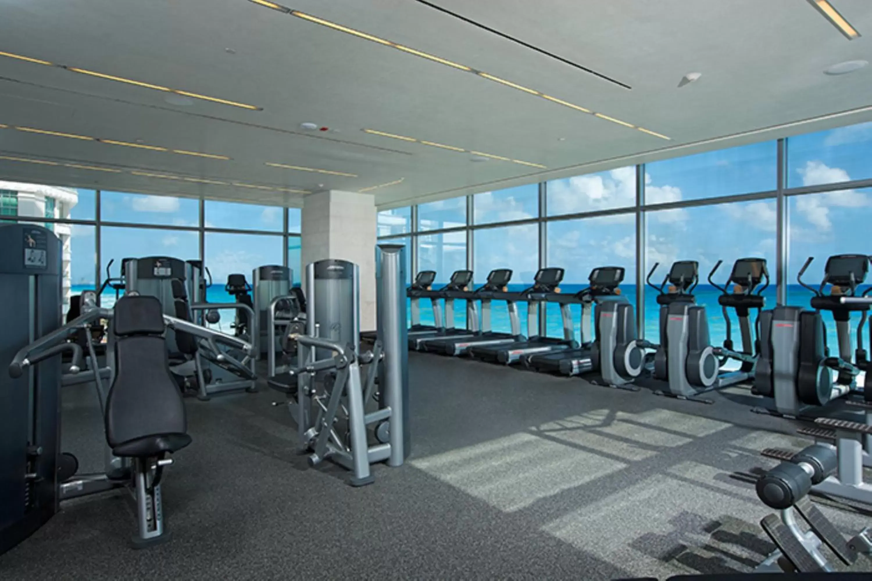 Entertainment, Fitness Center/Facilities in Secrets The Vine Cancun - All Inclusive Adults Only