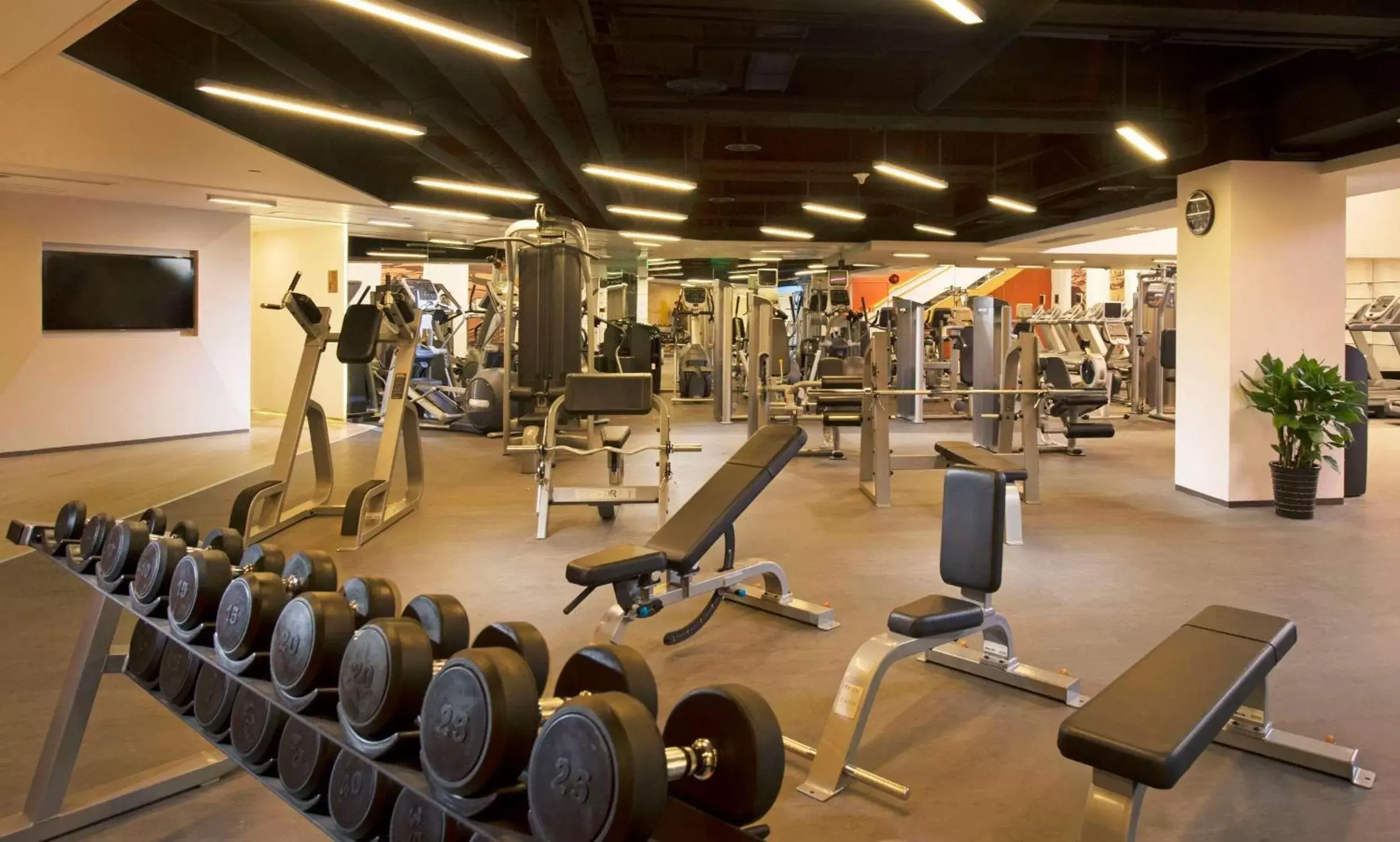 Fitness centre/facilities, Fitness Center/Facilities in Hilton Beijing Hotel