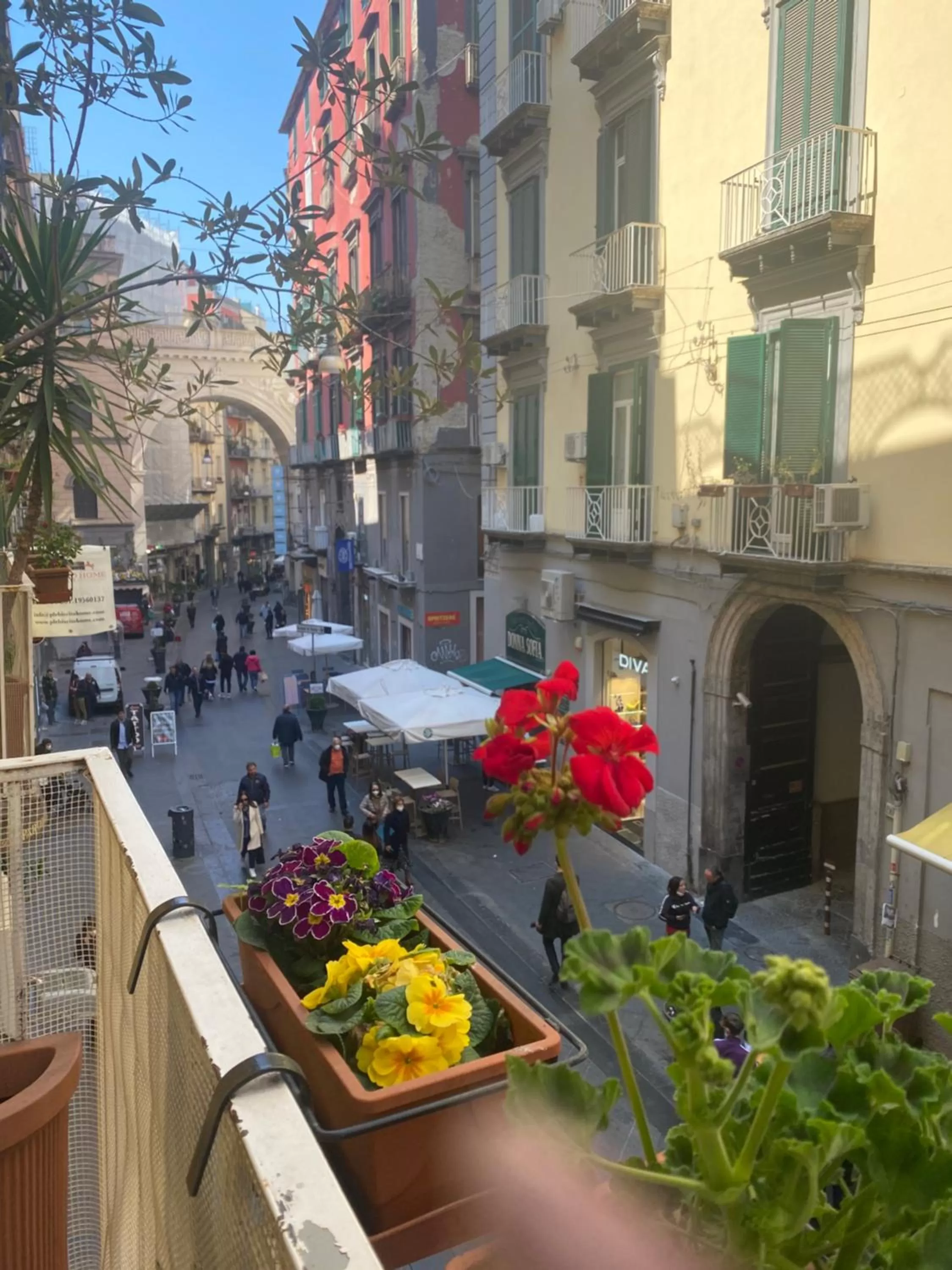 Balcony/Terrace in Bed & Breakfast Plebiscito Home