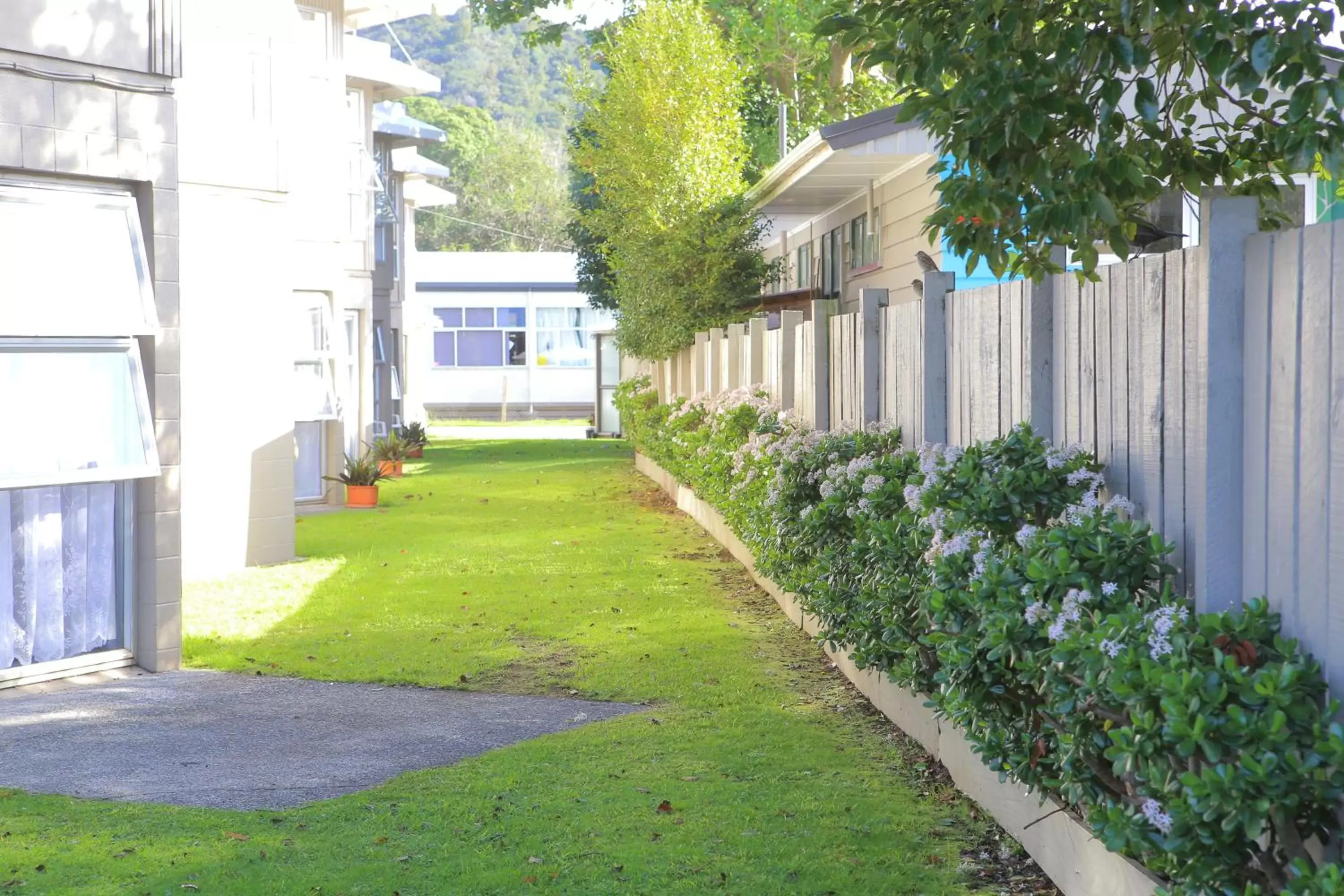 Garden in Motel Six