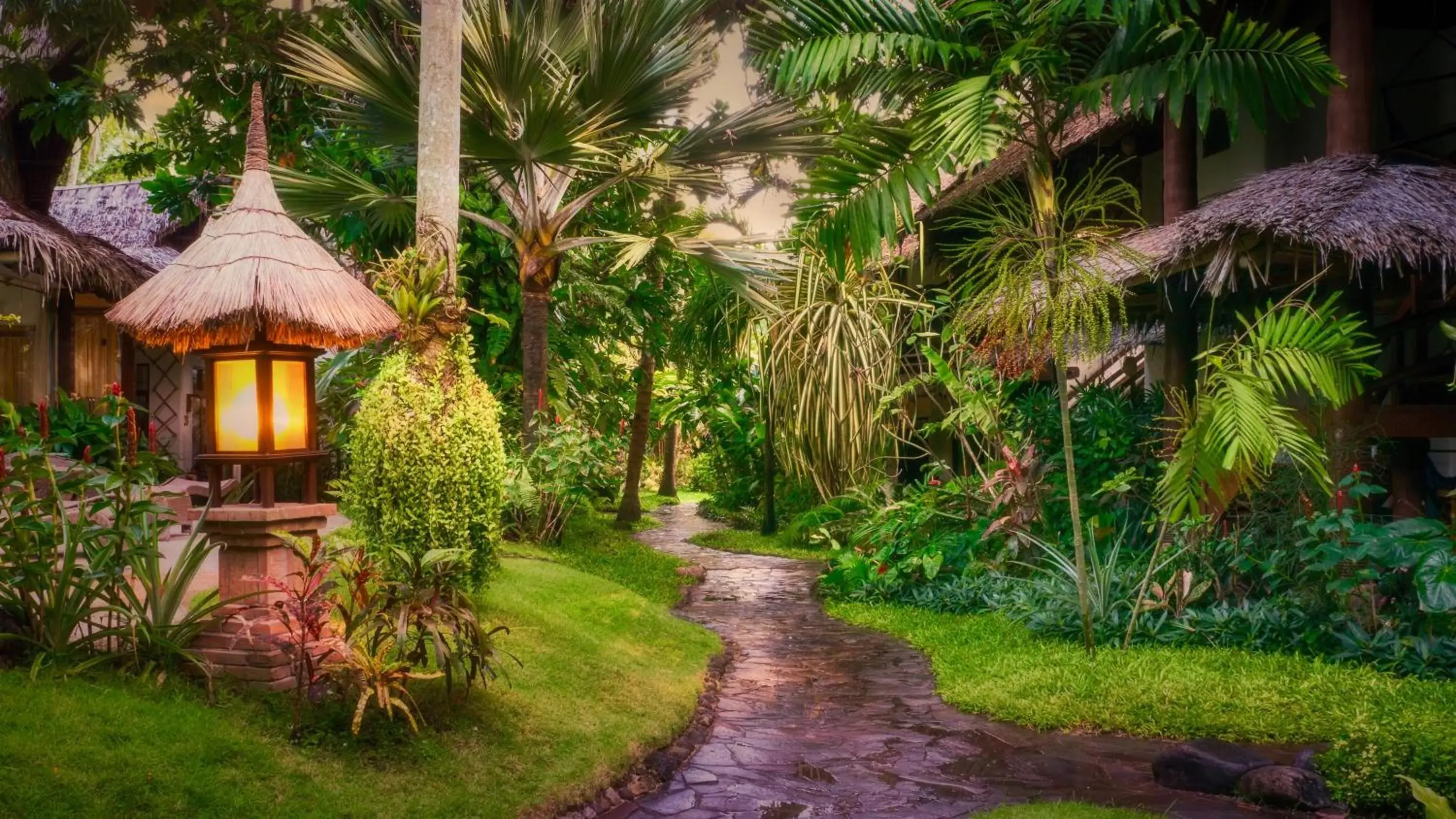 Natural landscape, Garden in Atlantis Dive Resort Dumaguete