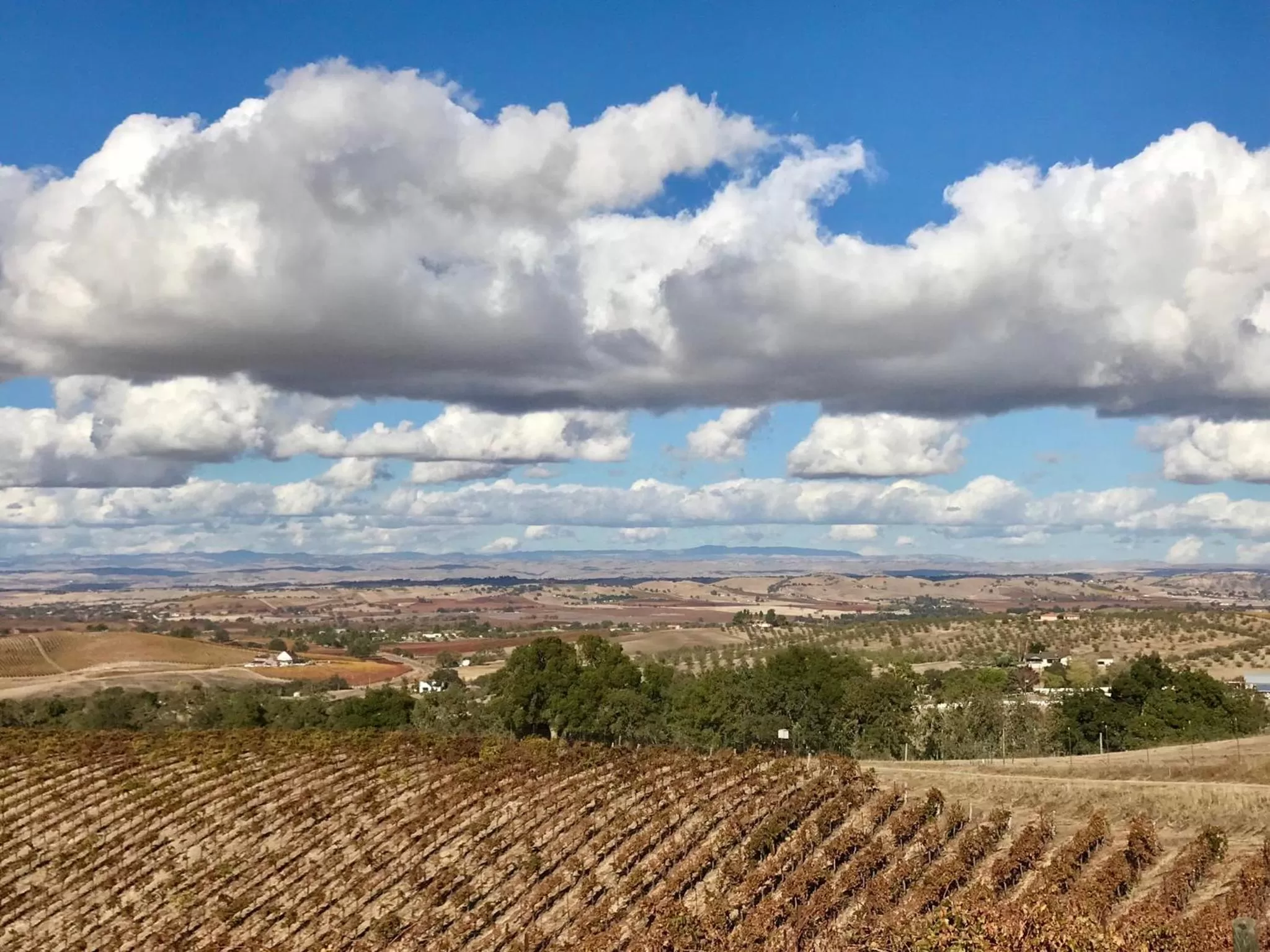 Neighbourhood in The Eden House Vineyard