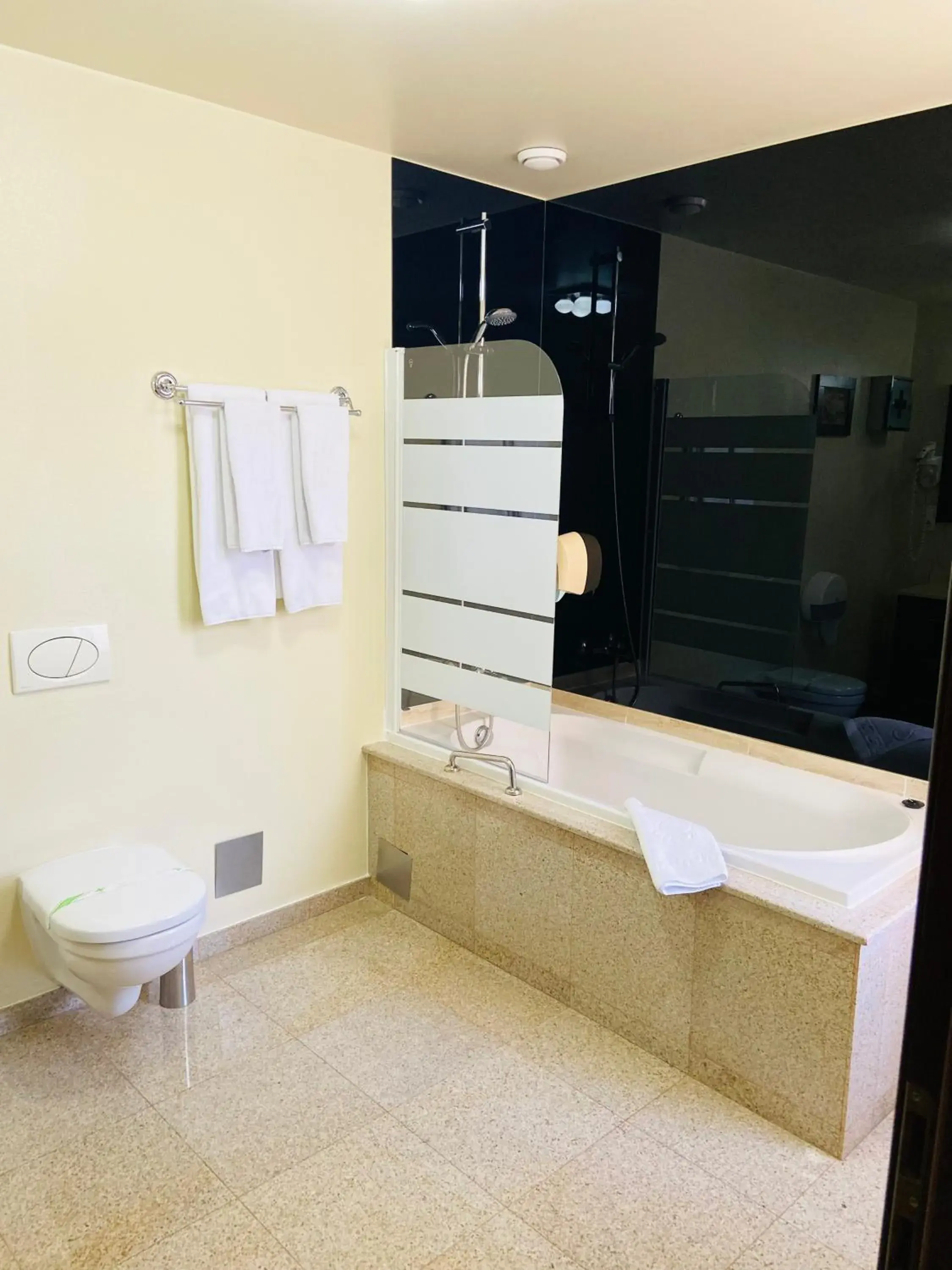 Double Room in Levoslav House Hotel Double Room in Levoslav House Hotel