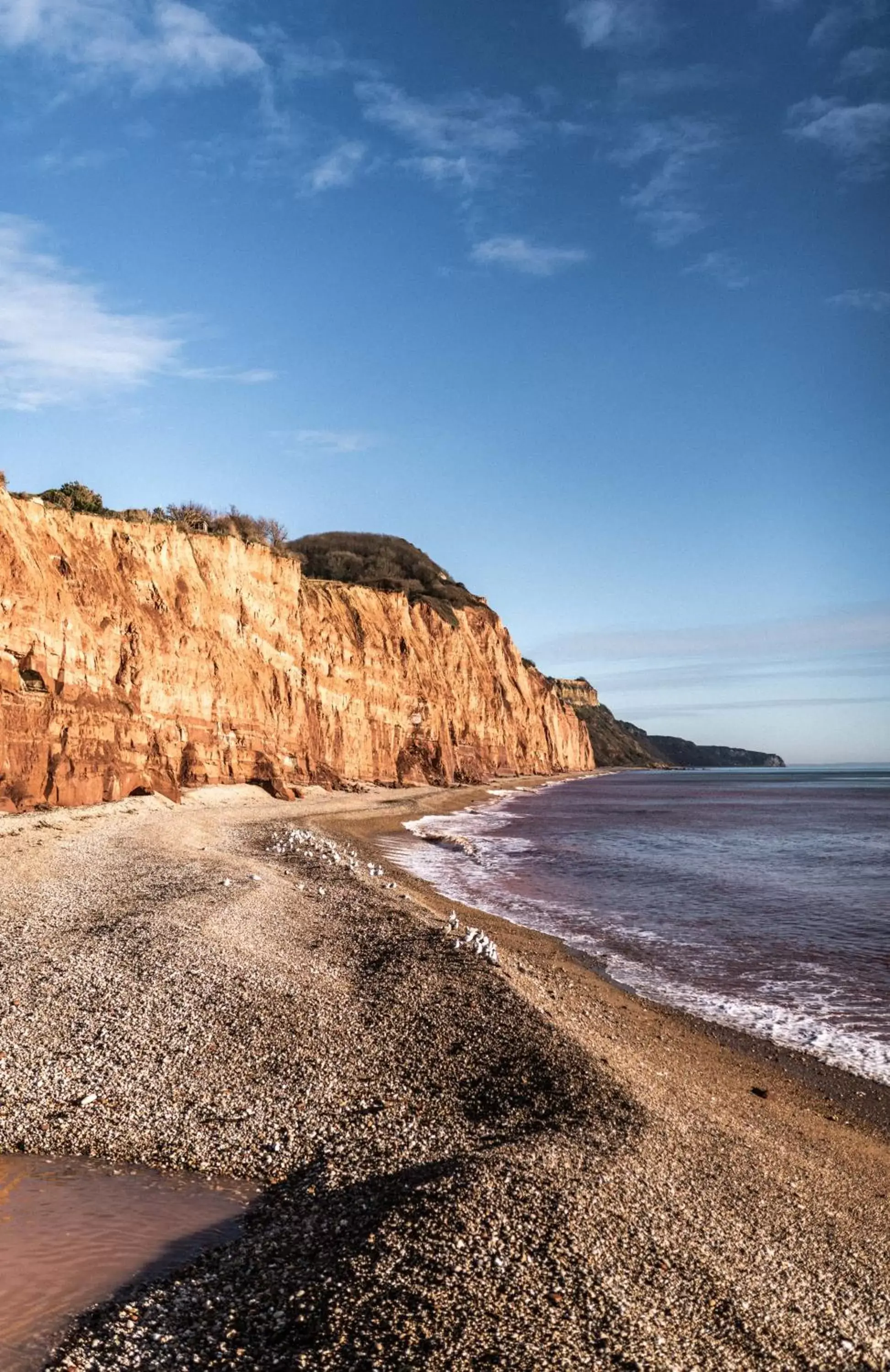 Natural landscape, Beach in The Elizabeth