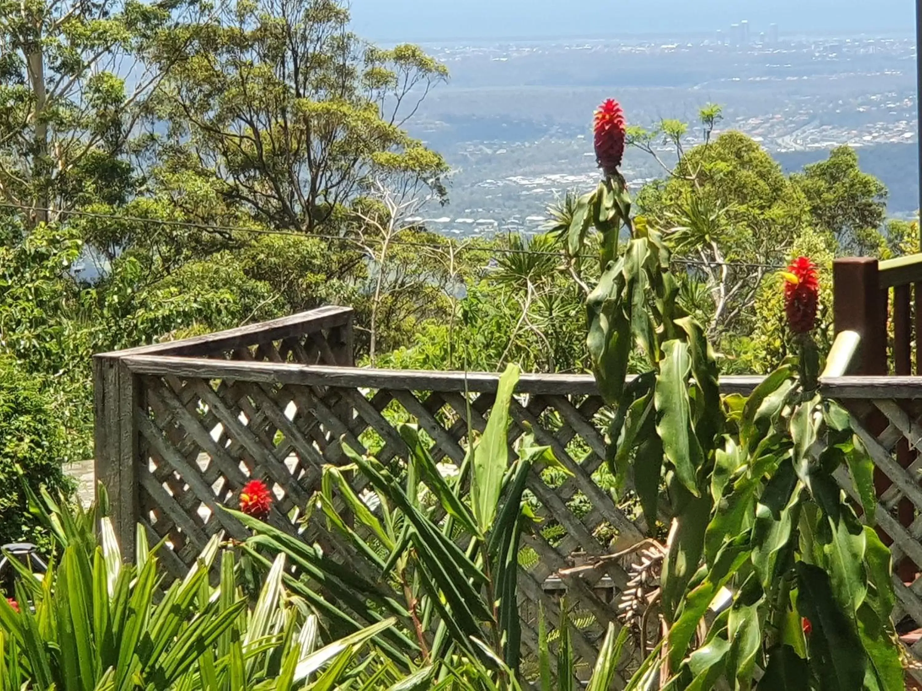 Tamborine Mountain Bed and Breakfast