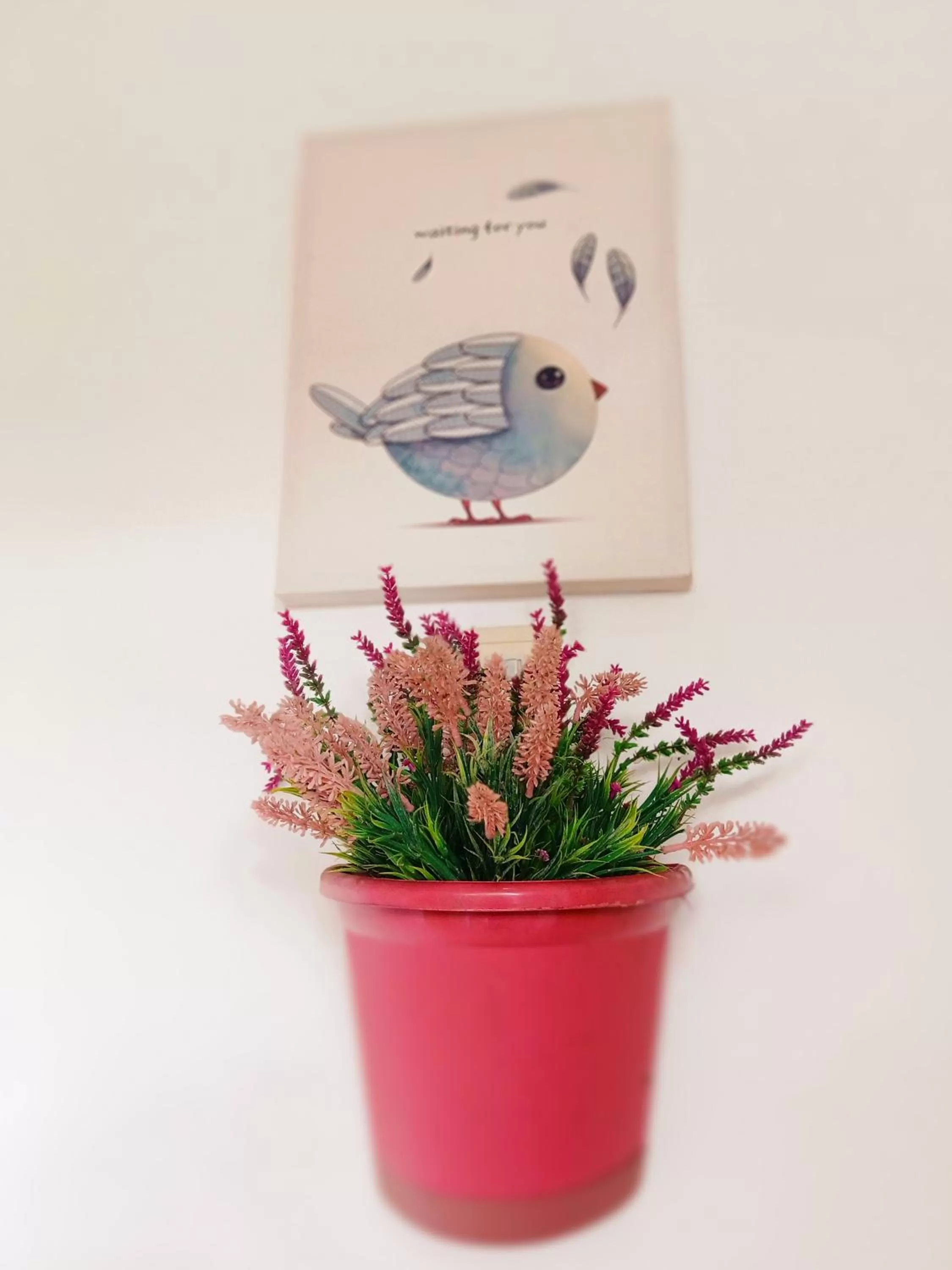 SmallFry's Beach Resort