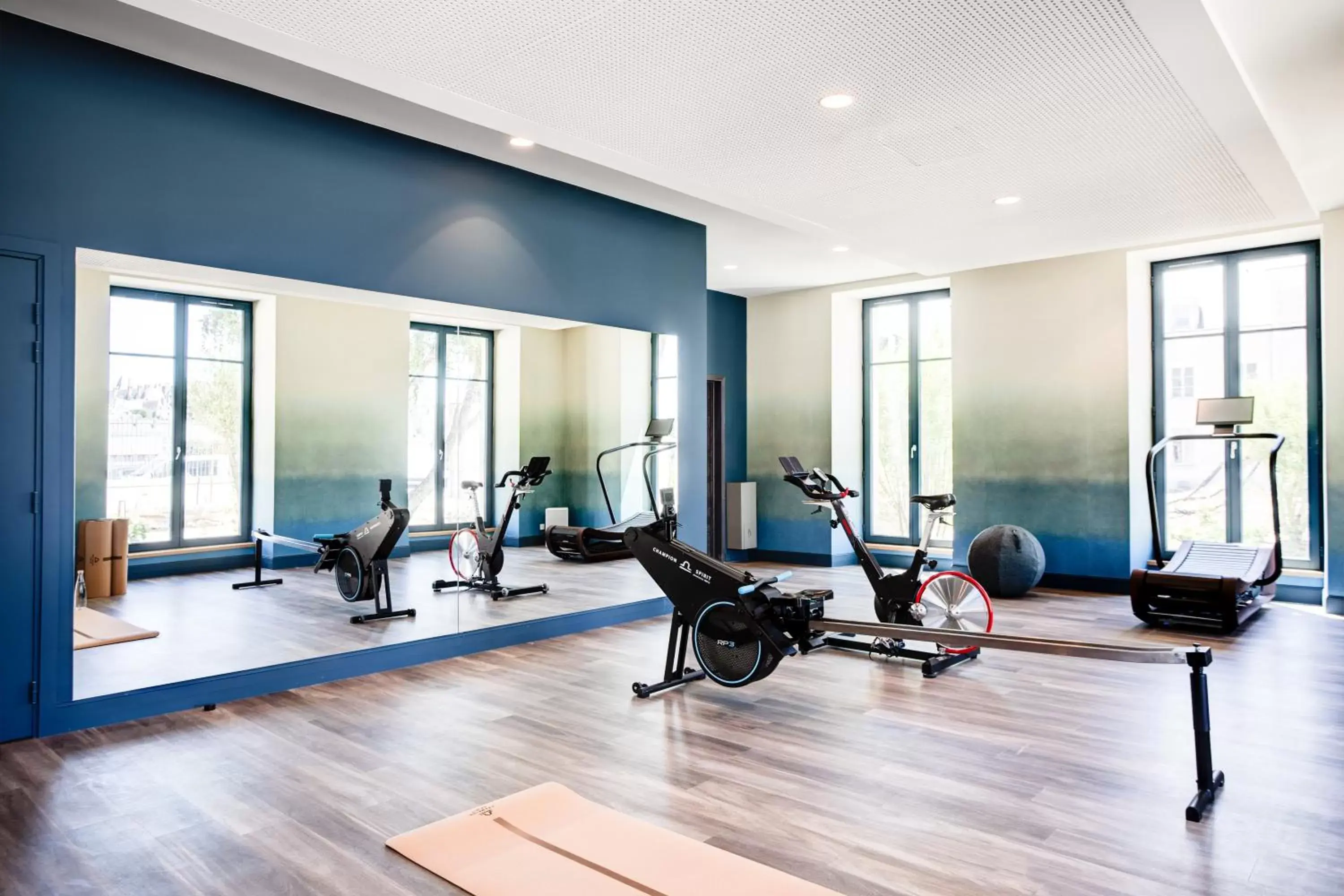 Fitness centre/facilities, Fitness Center/Facilities in Fleur de Loire