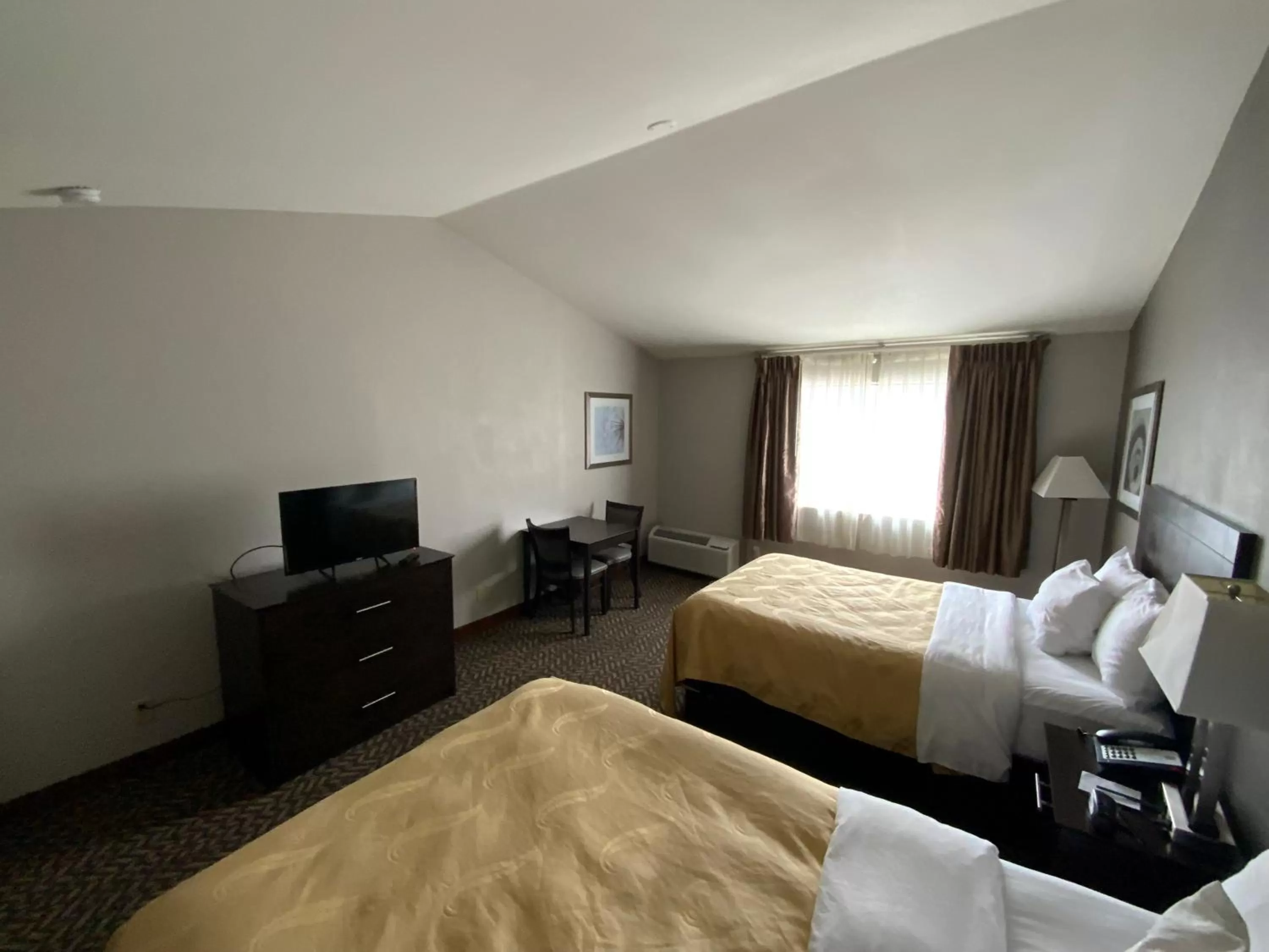 Bed in Quality Inn & Suites University-Airport