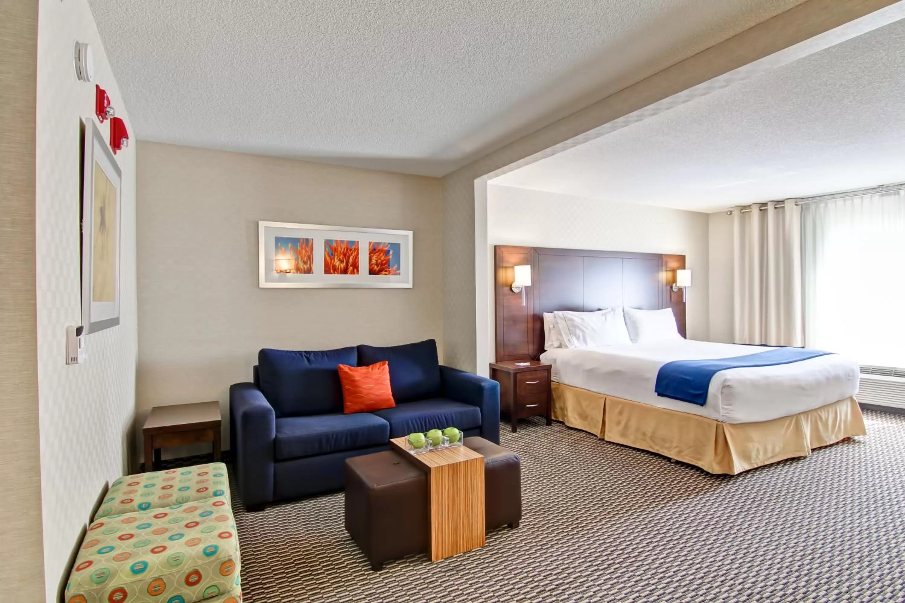 Photo of the whole room, Bed in Holiday Inn Express Hotel & Suites Toronto - Markham by IHG