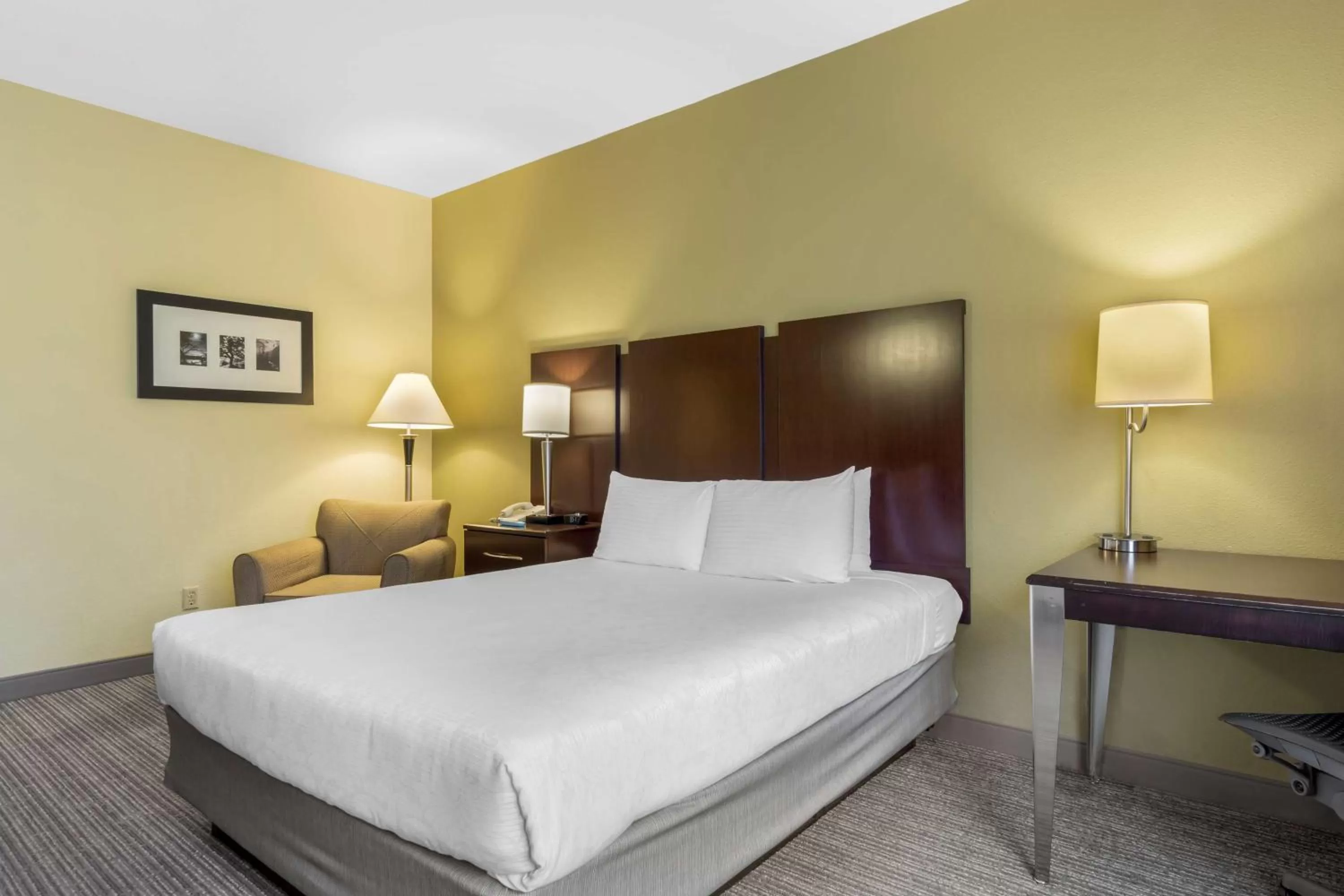 Queen Room - Disability Access/Non-Smoking in Best Western Plus Plaza by the Green