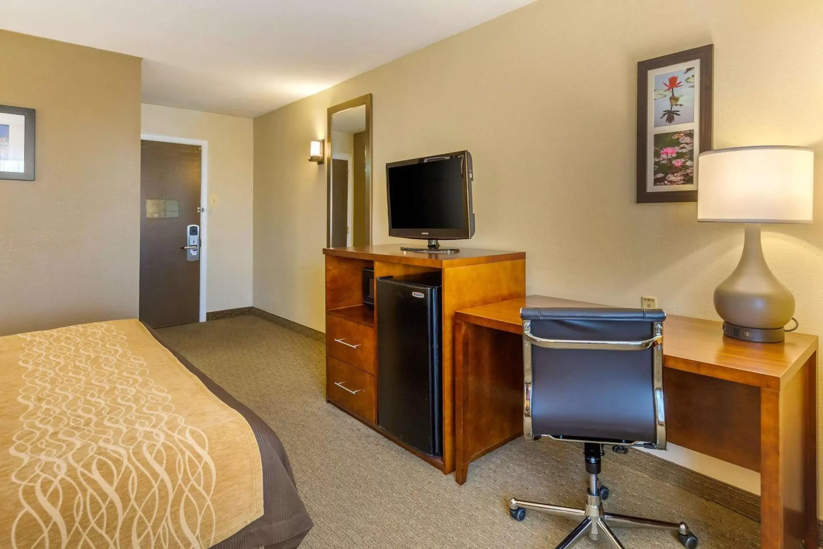 TV and multimedia, TV/Entertainment Center in Comfort Inn Red Horse Frederick