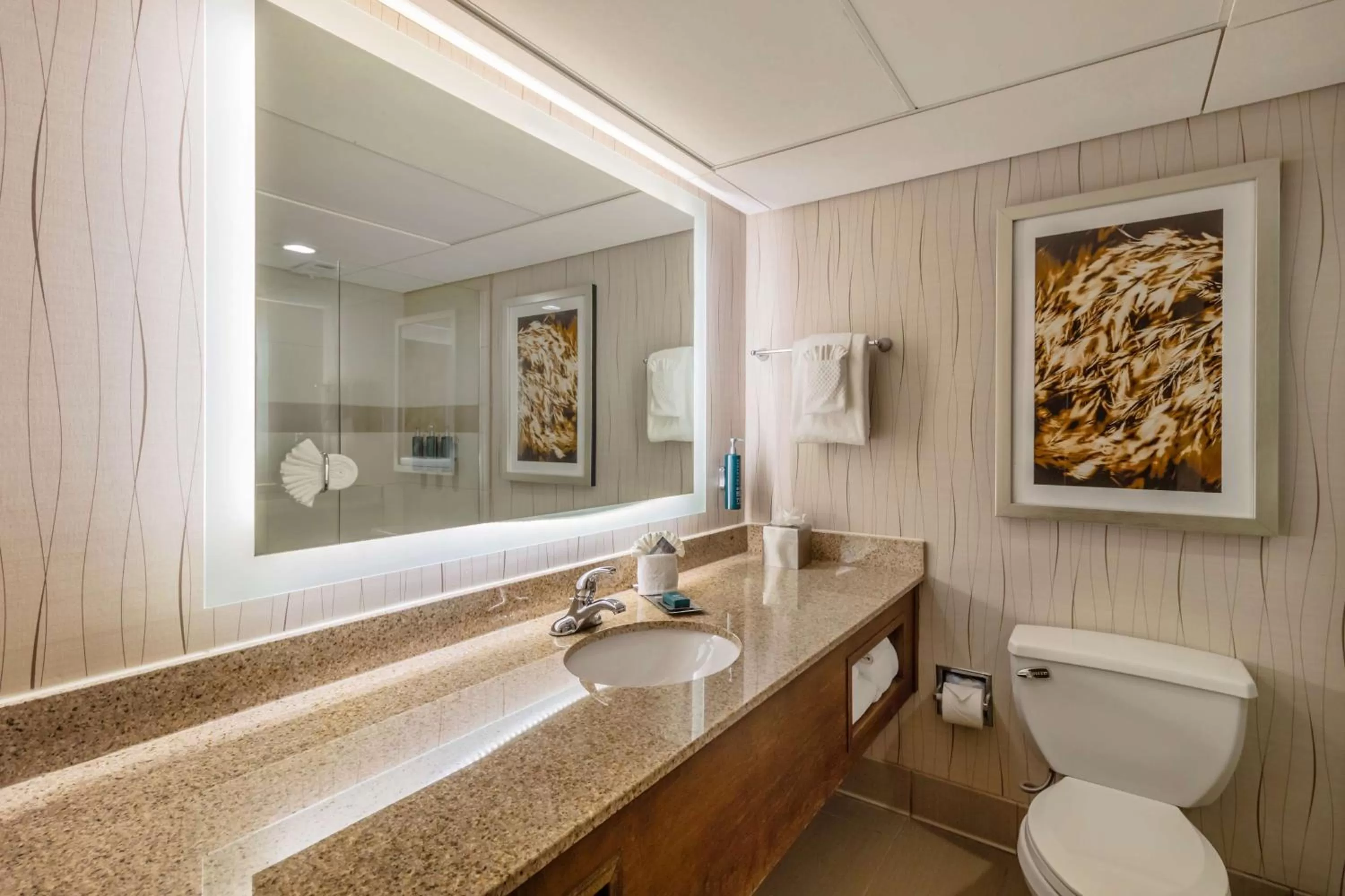 Bathroom in DoubleTree by Hilton Lawrence