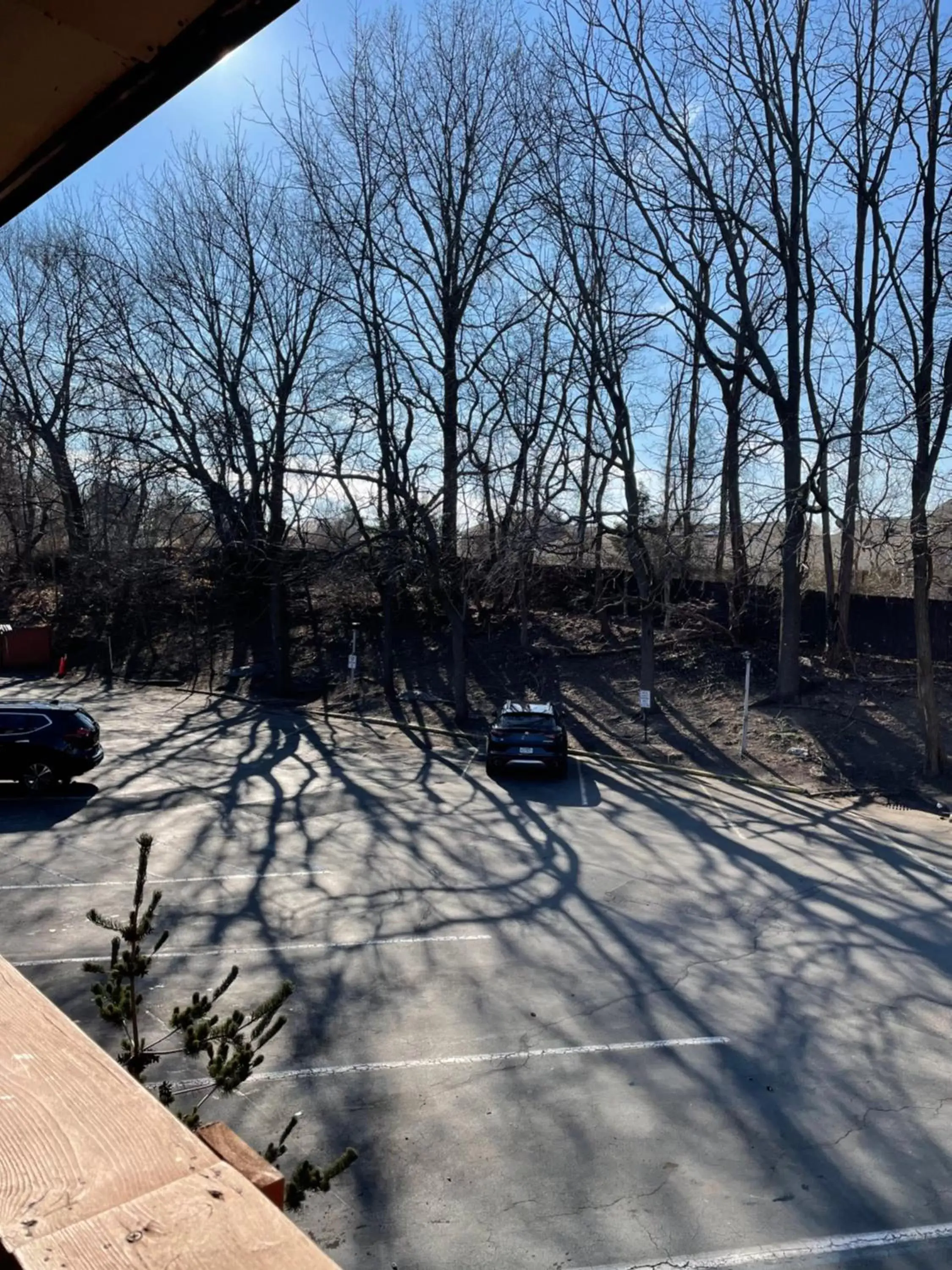 Property building, Winter in Best Western Woodbury Inn