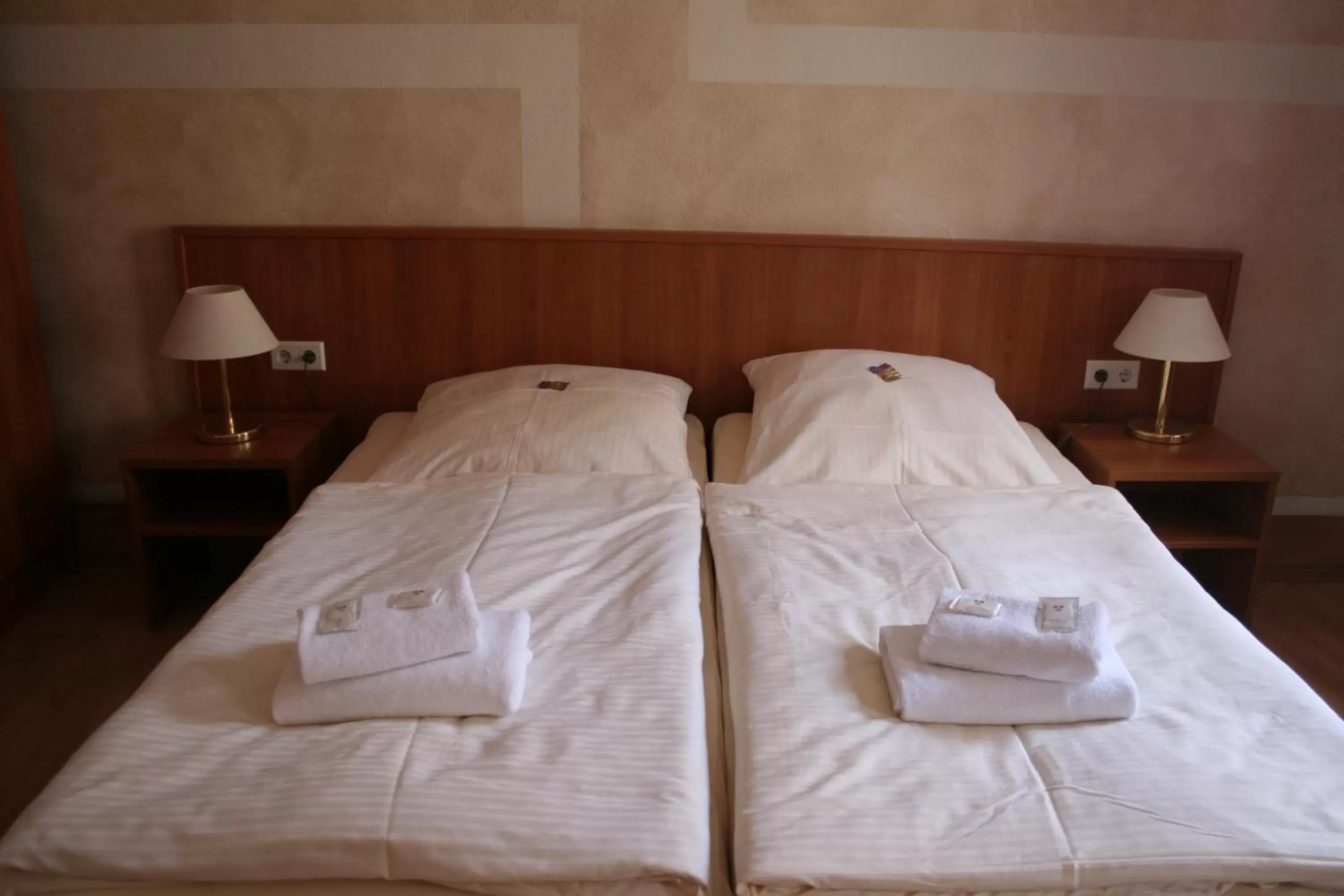 Double Room - single occupancy in Landgasthof Hotel Rebe Alzey Double Room - single occupancy in Landgasthof Hotel Rebe Alzey