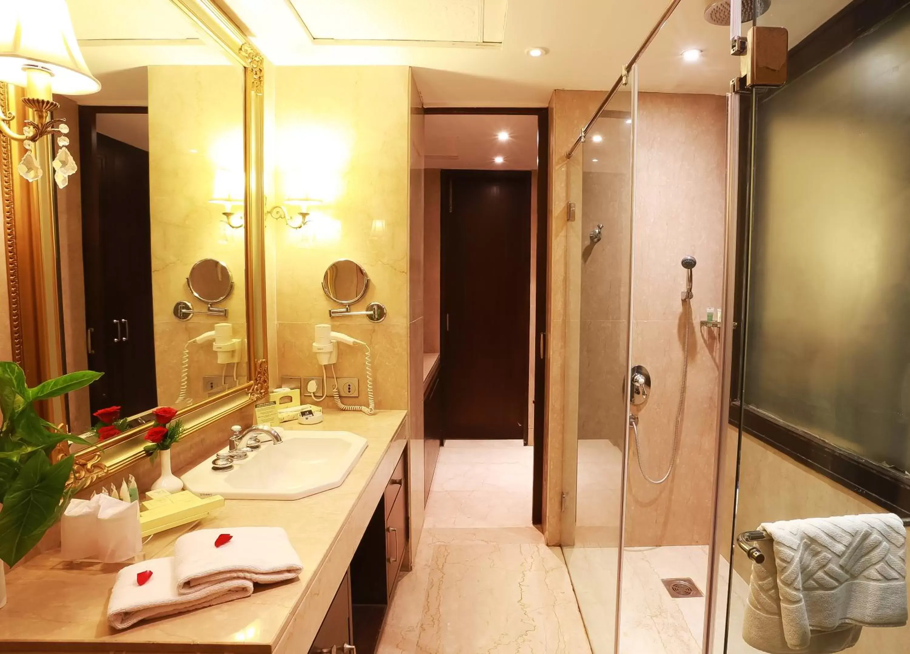 Bathroom in The Ashok, New Delhi