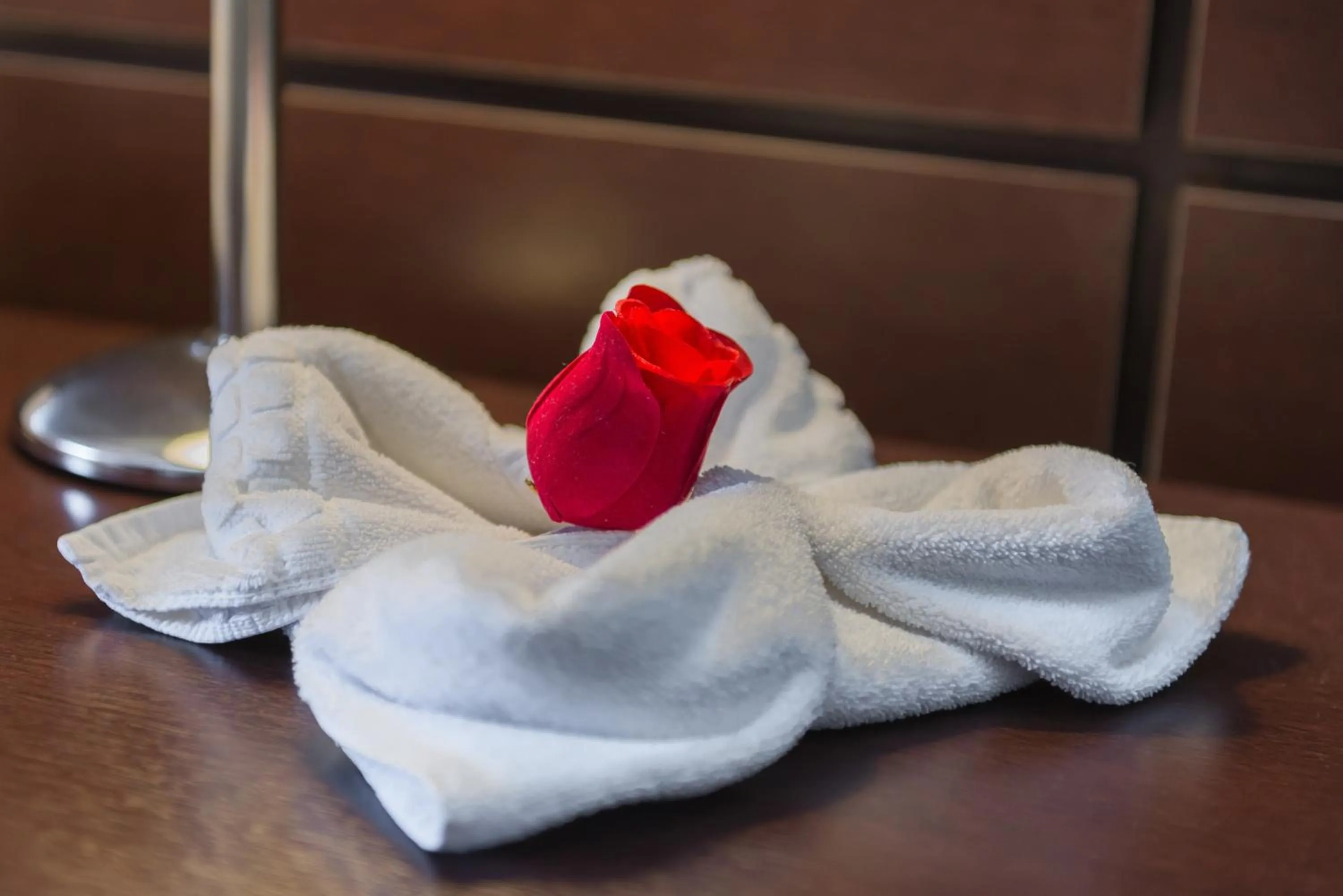 Decorative detail in Hotel Plaza Norte