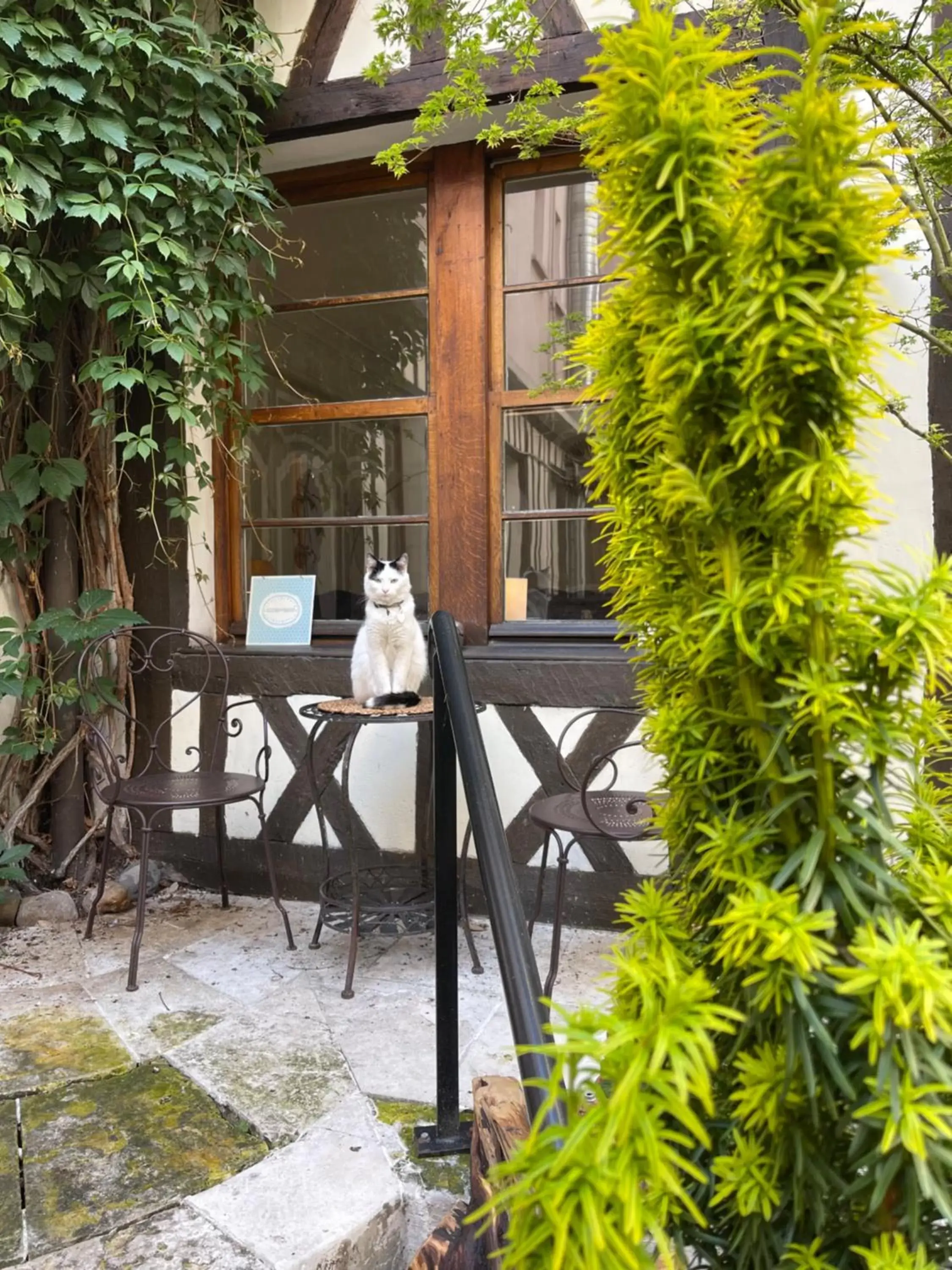 Patio in Hôtel De La Cathédrale