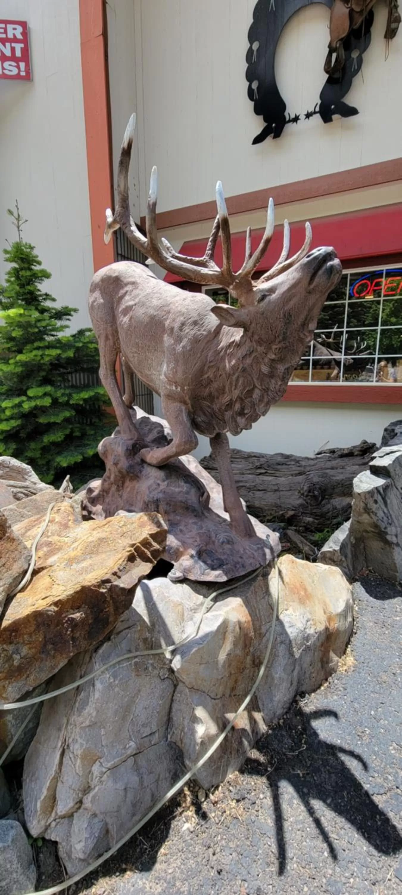 Lobby or reception in Hot Springs Inn