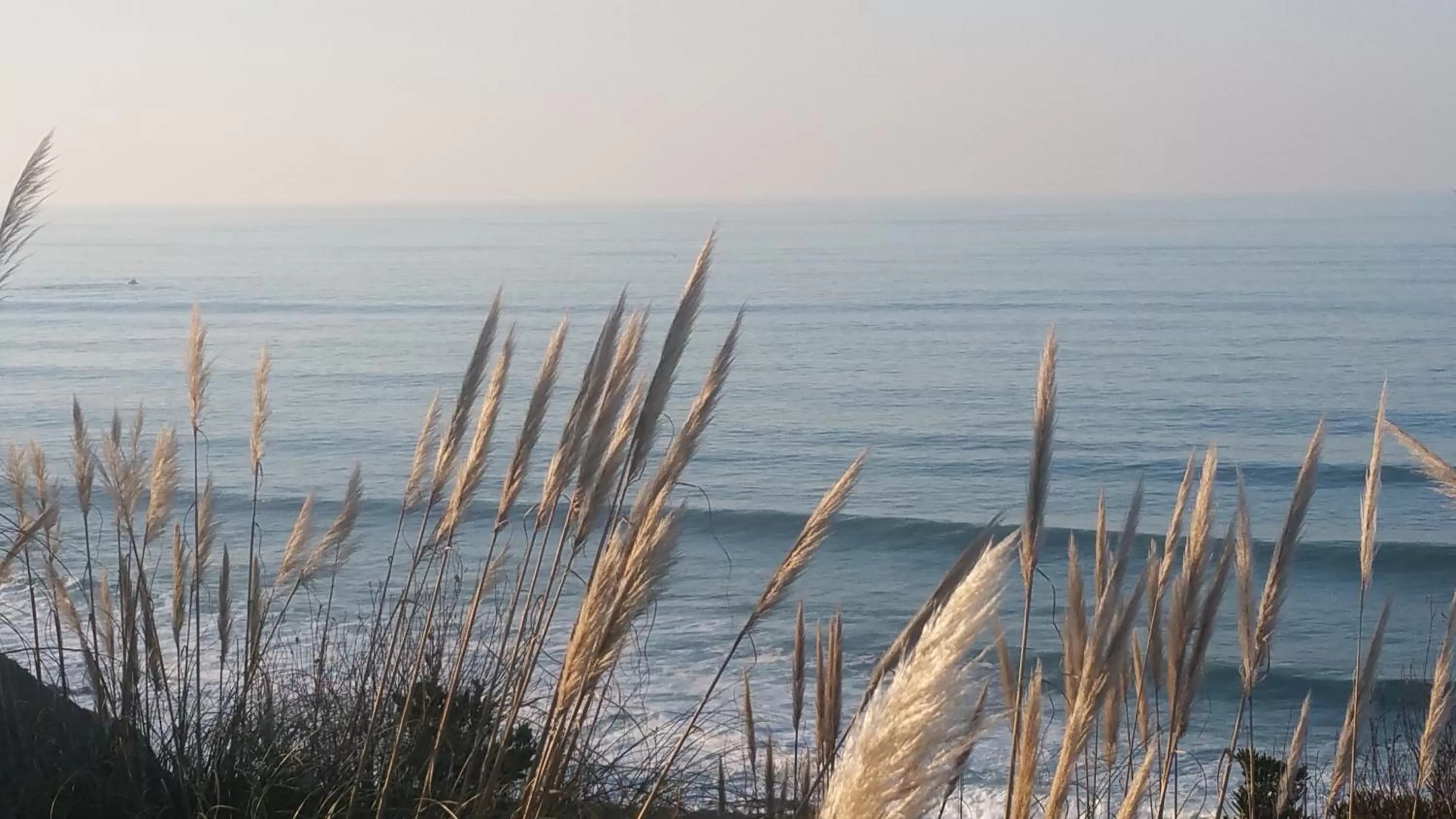 Property building in Libertitu