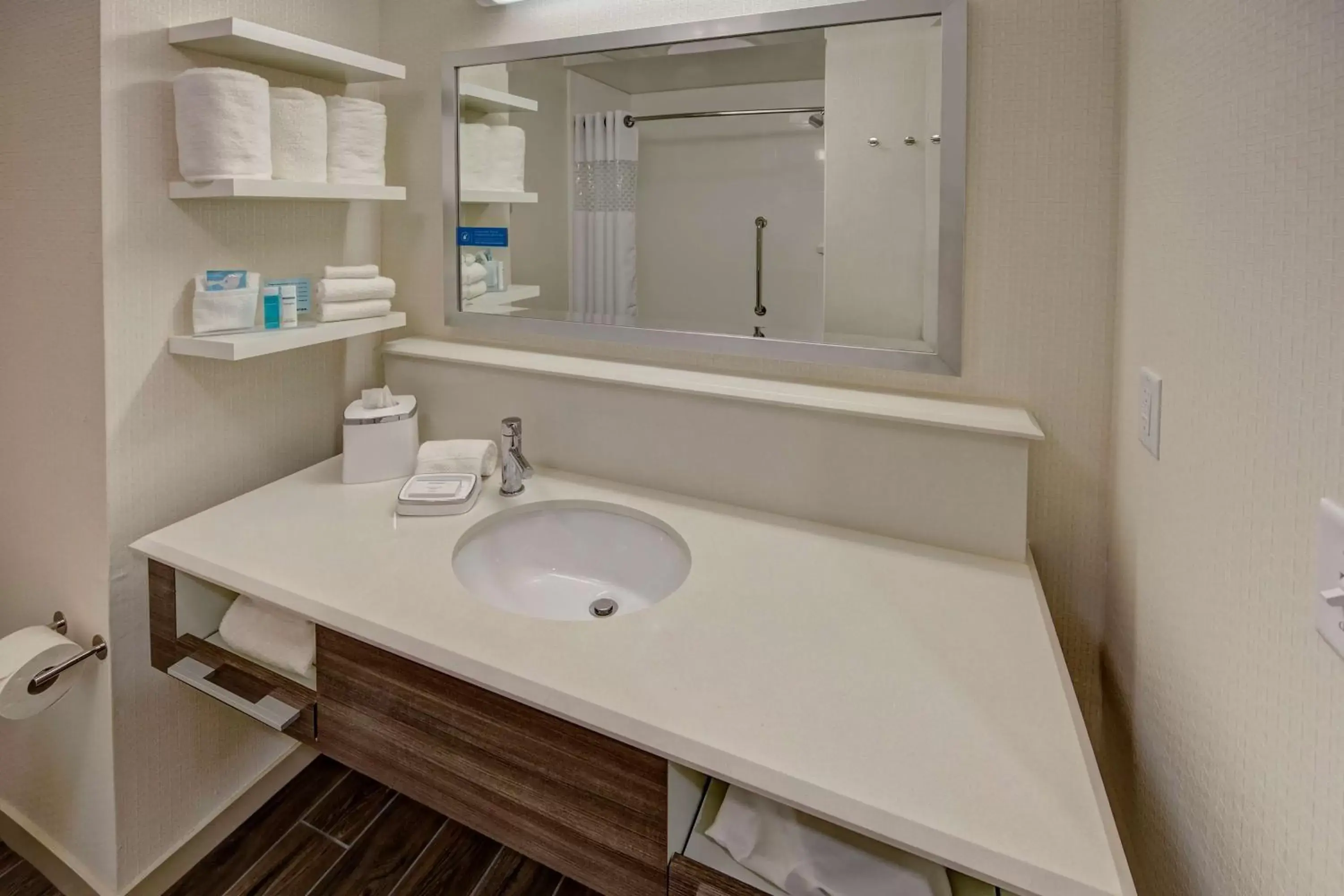 Bathroom in Hampton Inn & Suites By Hilton Nashville Hendersonville Tn