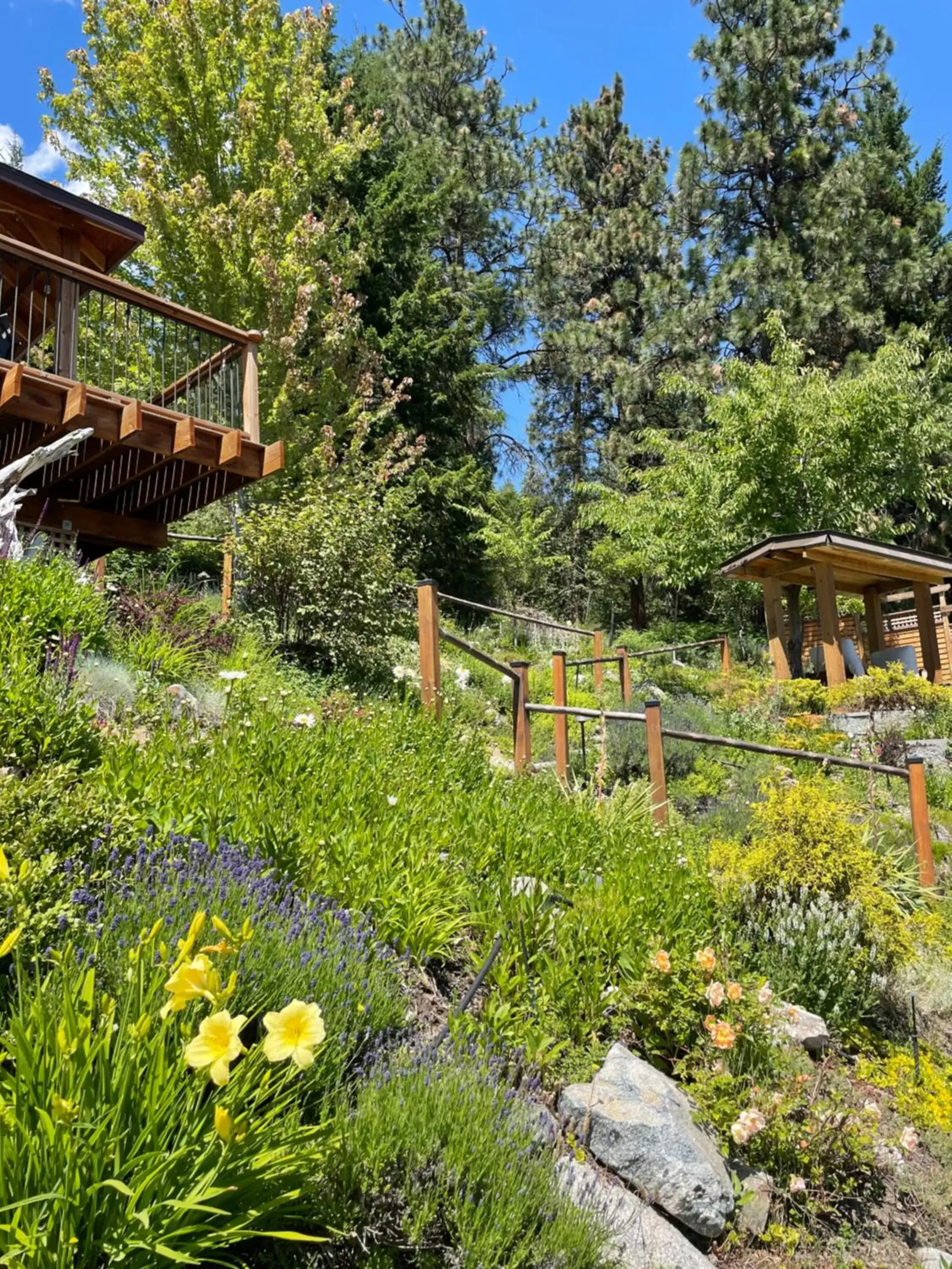 Natural landscape, Garden in Les Chambres Roses