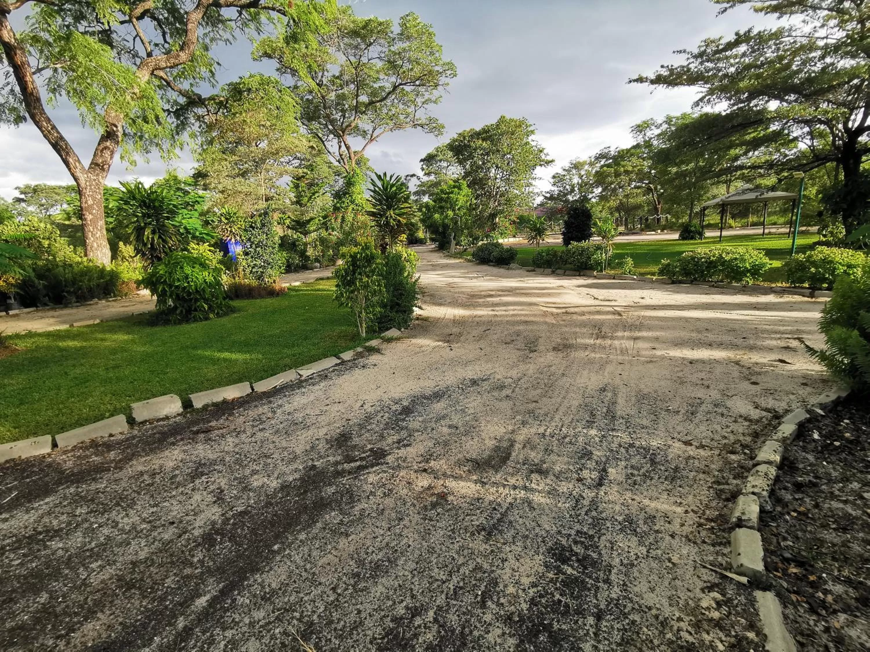 Garden in Happy Forest B&B