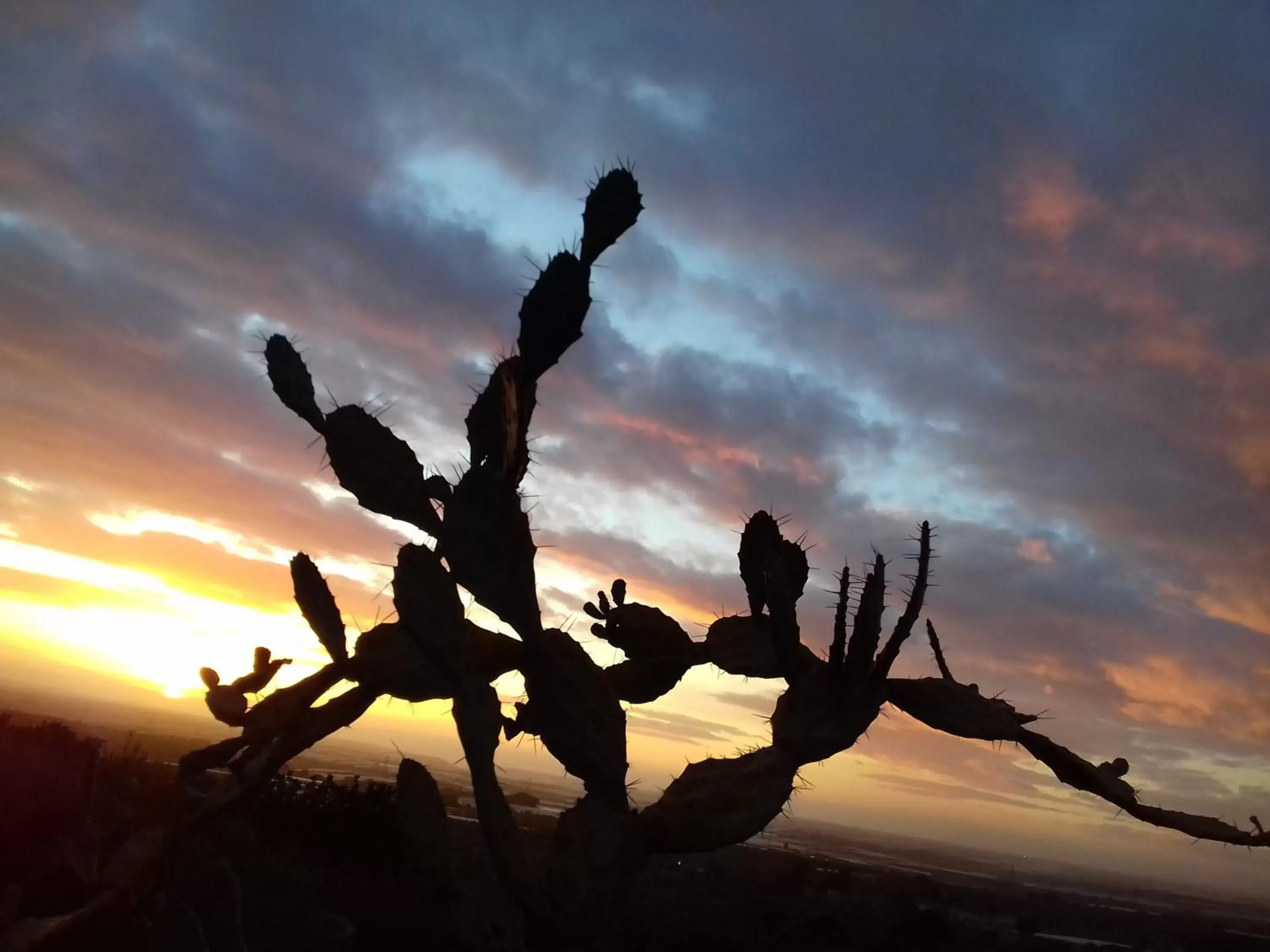 Natural landscape, Sunrise/Sunset in Ronnavona Casa Vacanze B&B