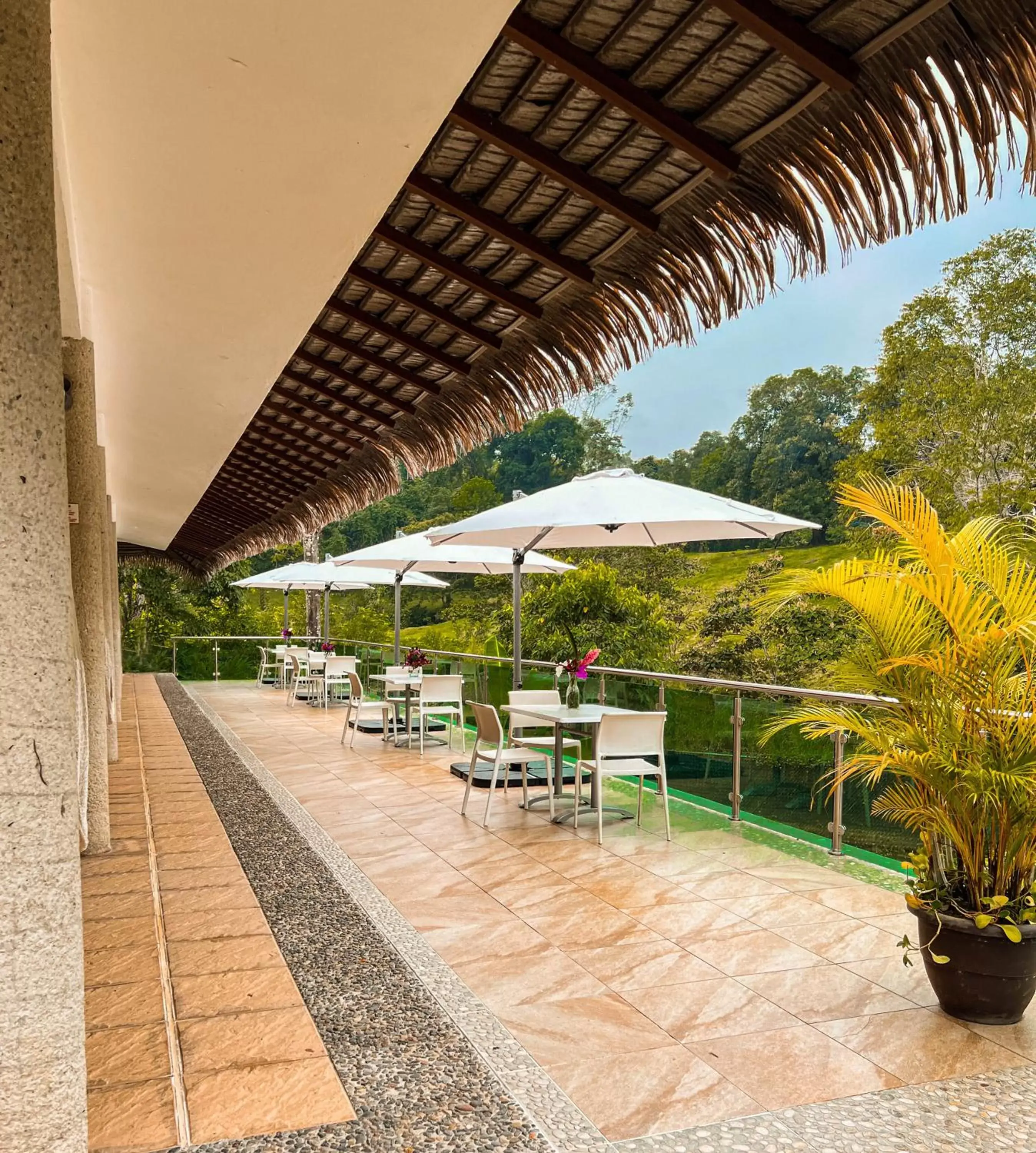 Balcony/Terrace in Hotel Villa Mercedes Palenque