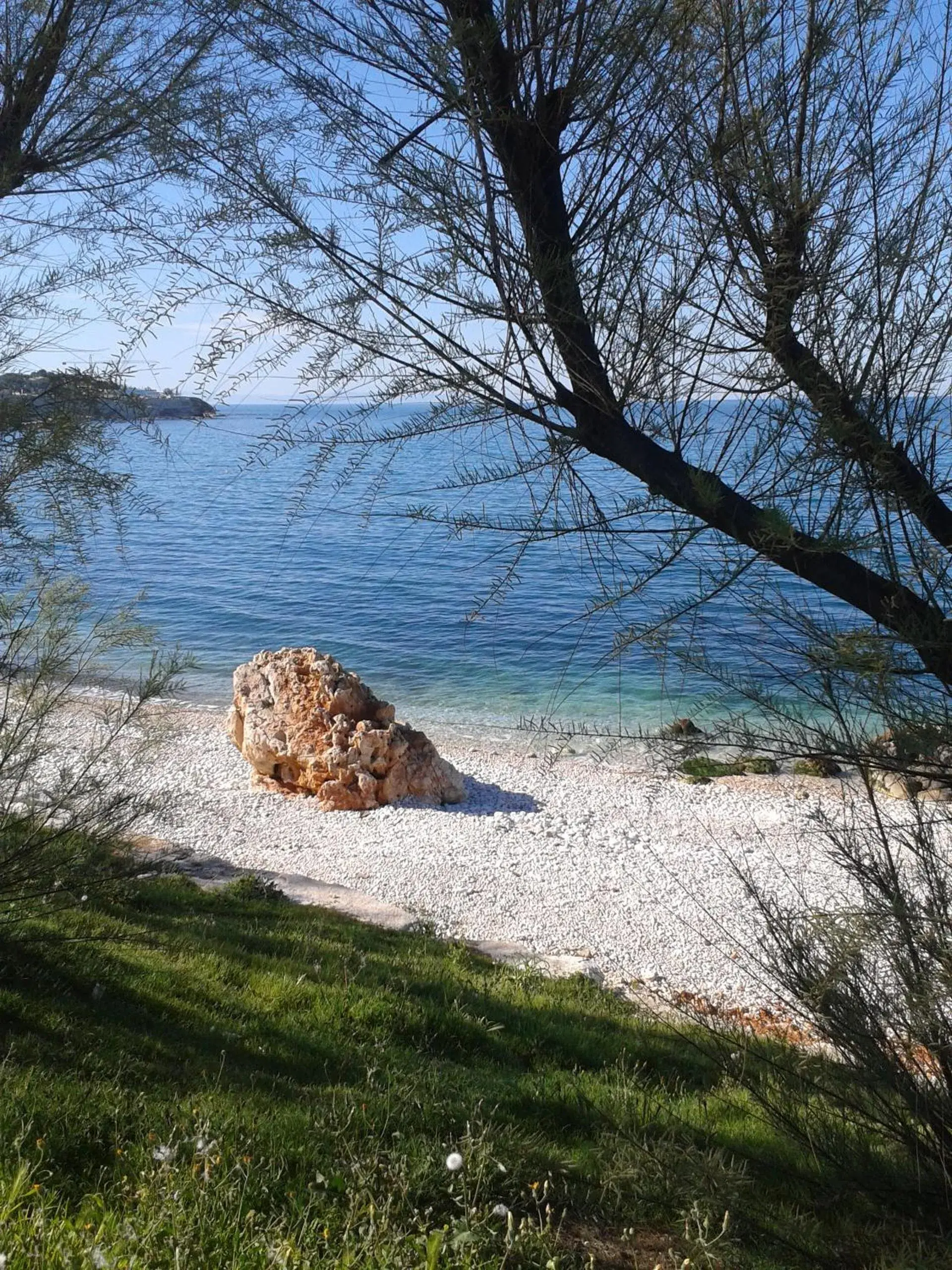 Beach, Other Animals in Hotel Salsello