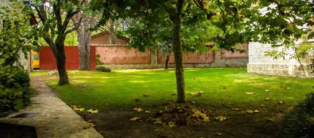 Garden view, Garden in Hotel Sara De Ur