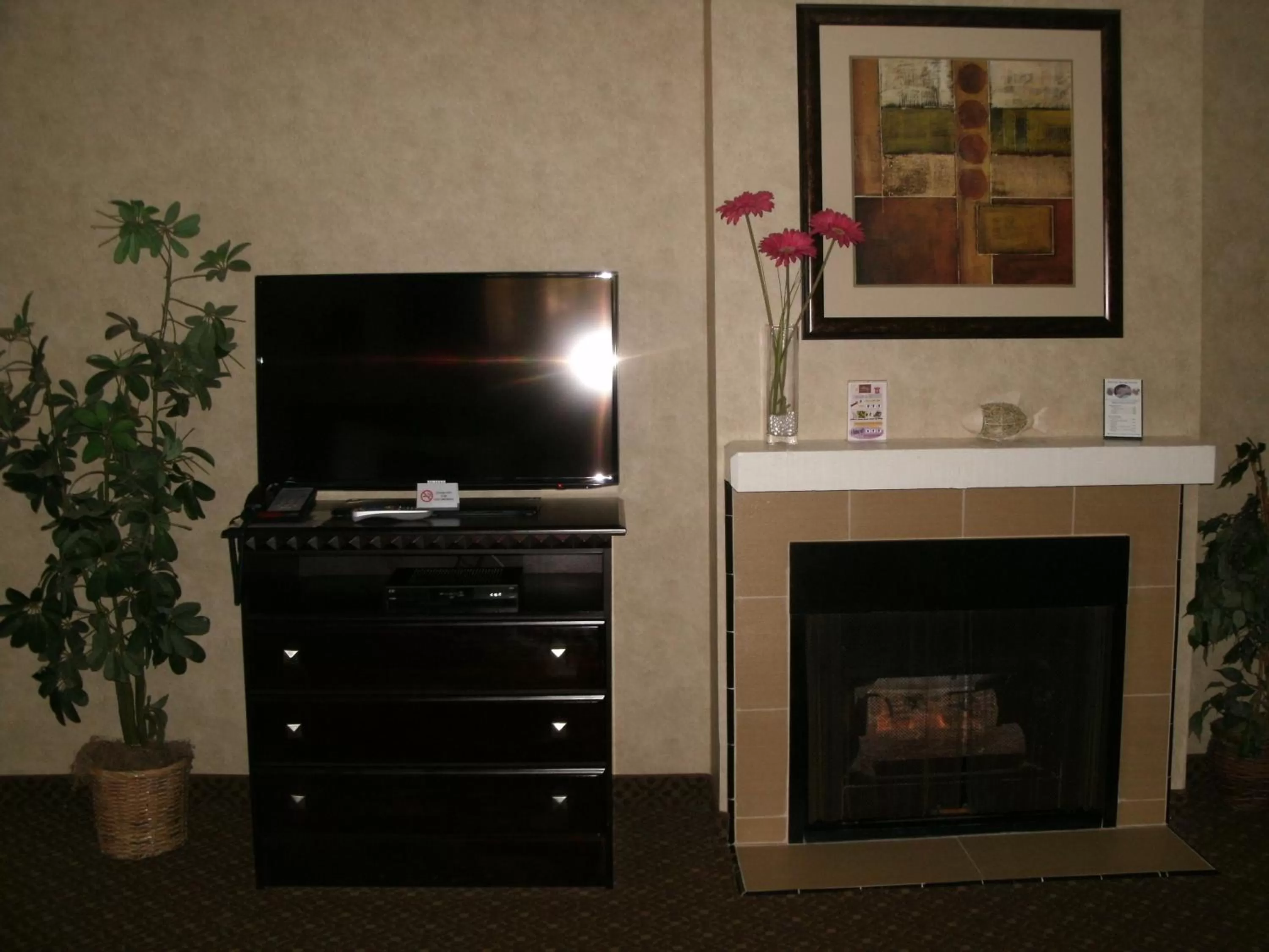 TV and multimedia in Rosedale Inn