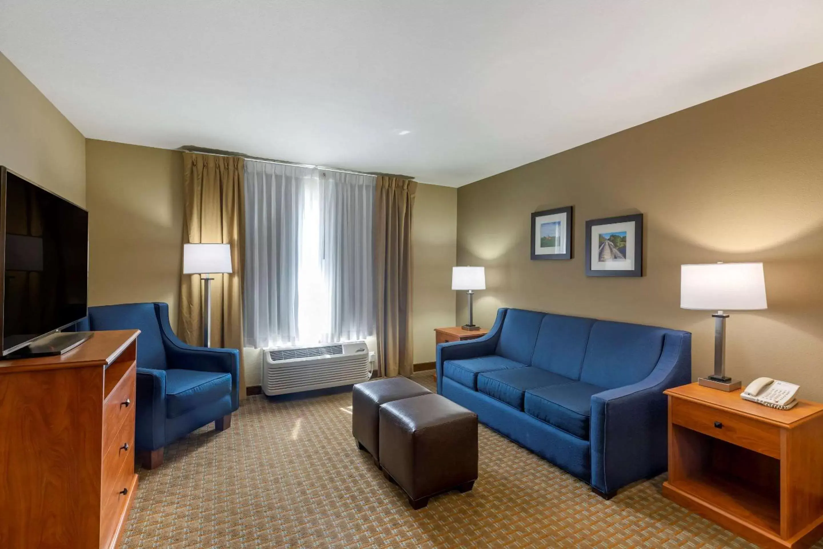 Seating Area in Comfort Inn & Suites Marion I-57