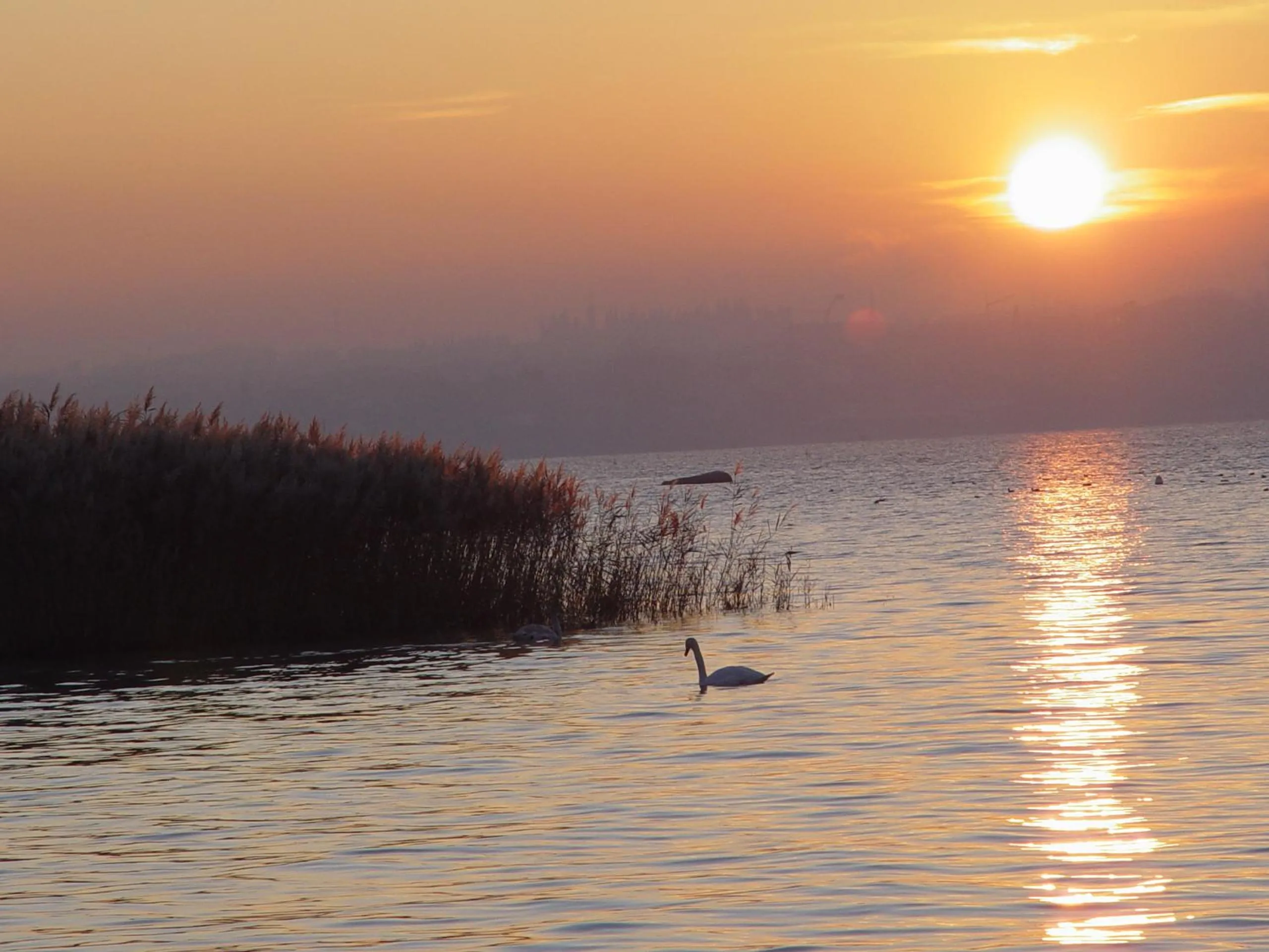 Sunset in Hotel La Rondine