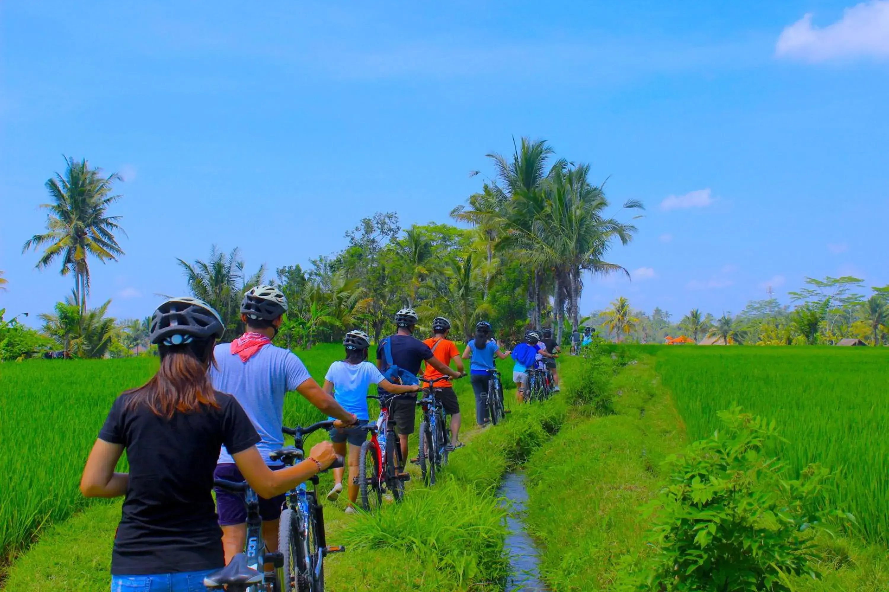 Cycling in Temuku Villas Ubud - CHSE Certified