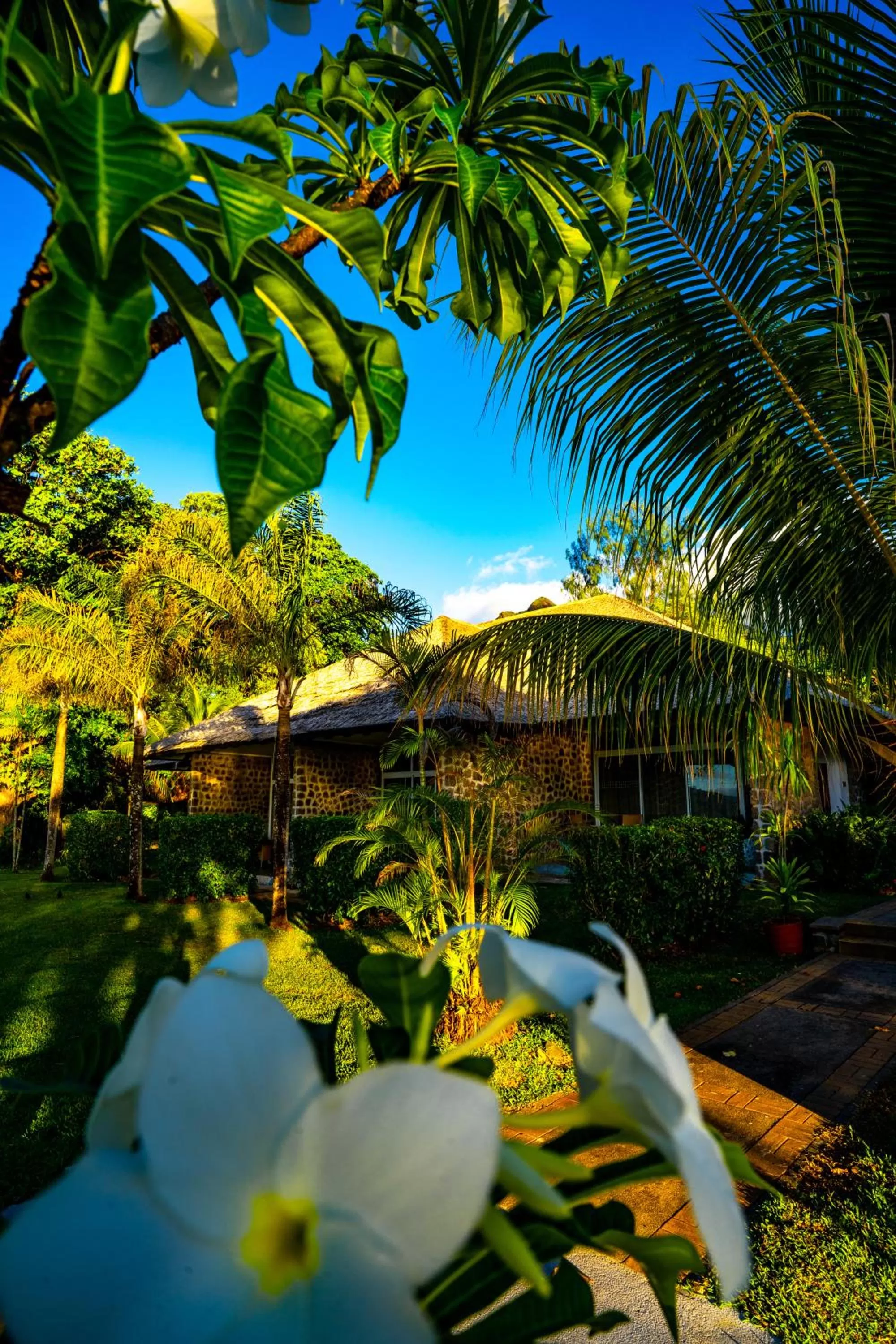 View (from property/room) in Fisherman's Cove Resort - closed for complete renovation - Visit our sister property STORY Seychelles for your stay