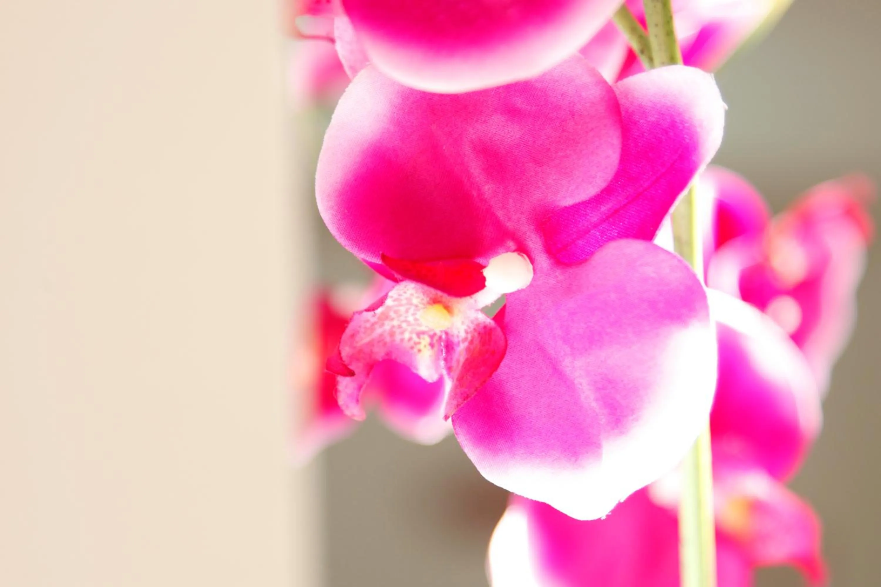 Decorative detail in HOTEL Poma