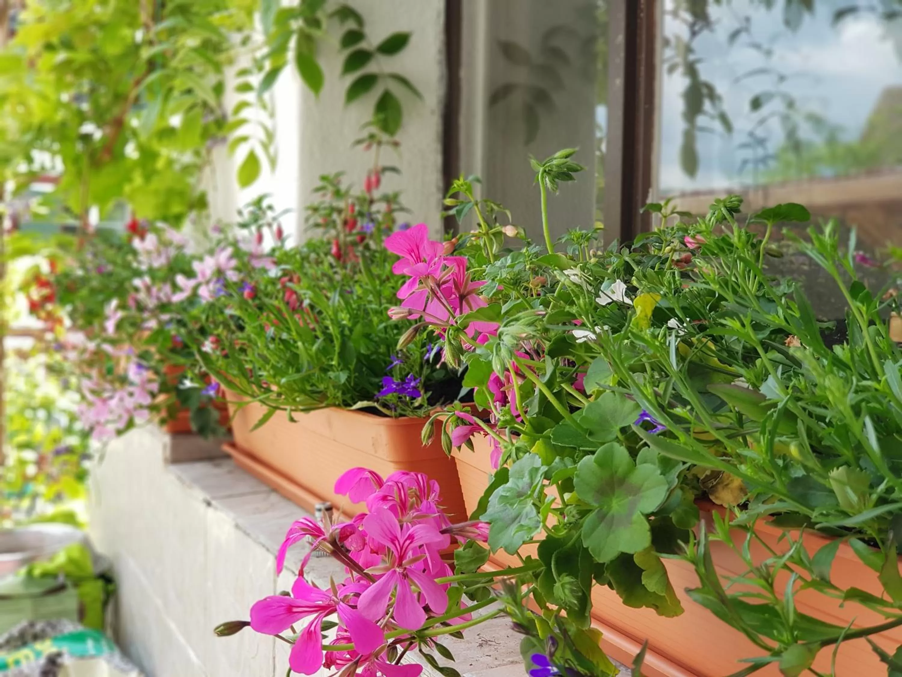 Garni-Hotel Mühletal