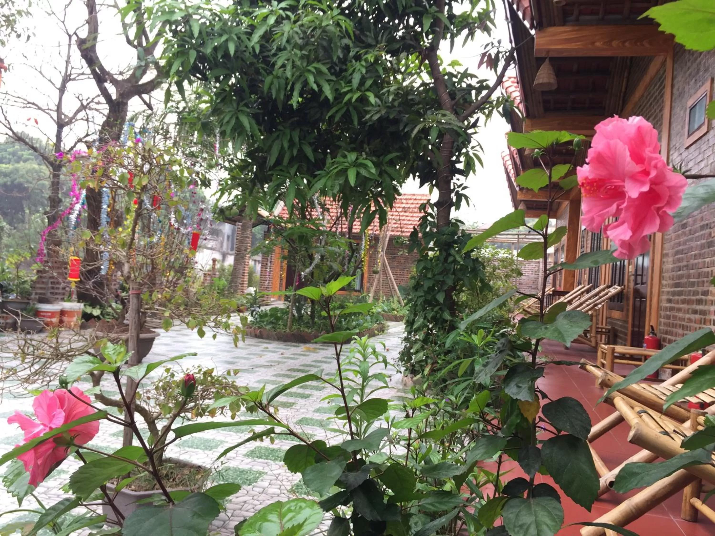 Property building in Tam Coc Vinh Thinh Homestay