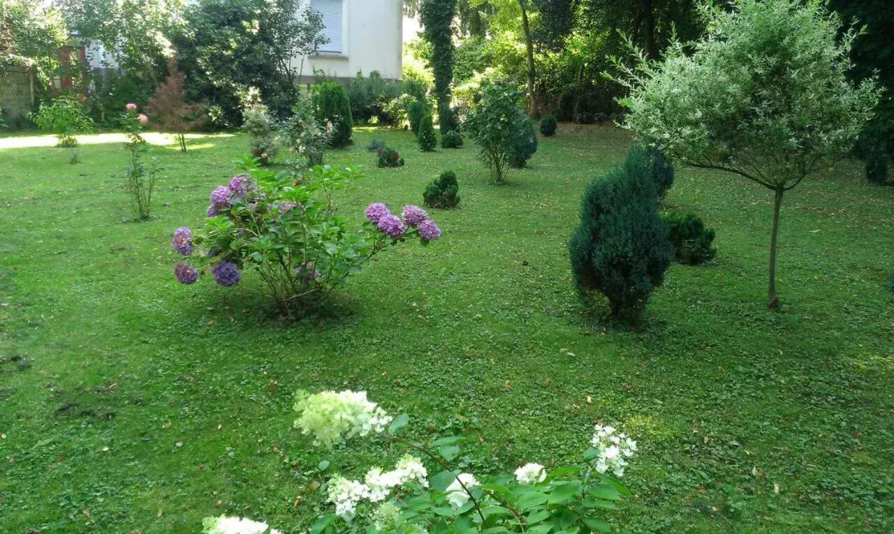 Garden in Hotel Hölscher