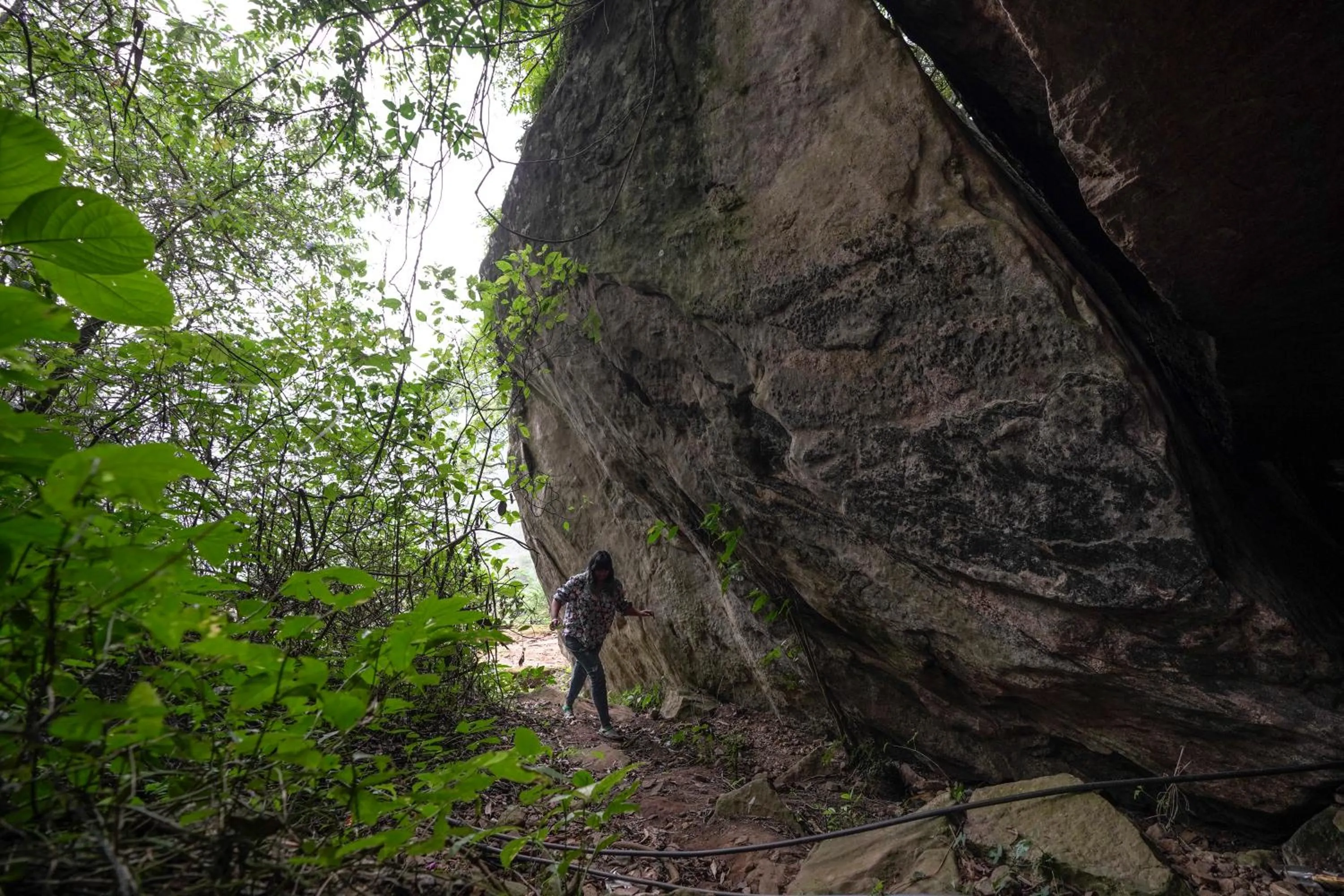 Natural landscape in Tea Valley Resort, Munnar