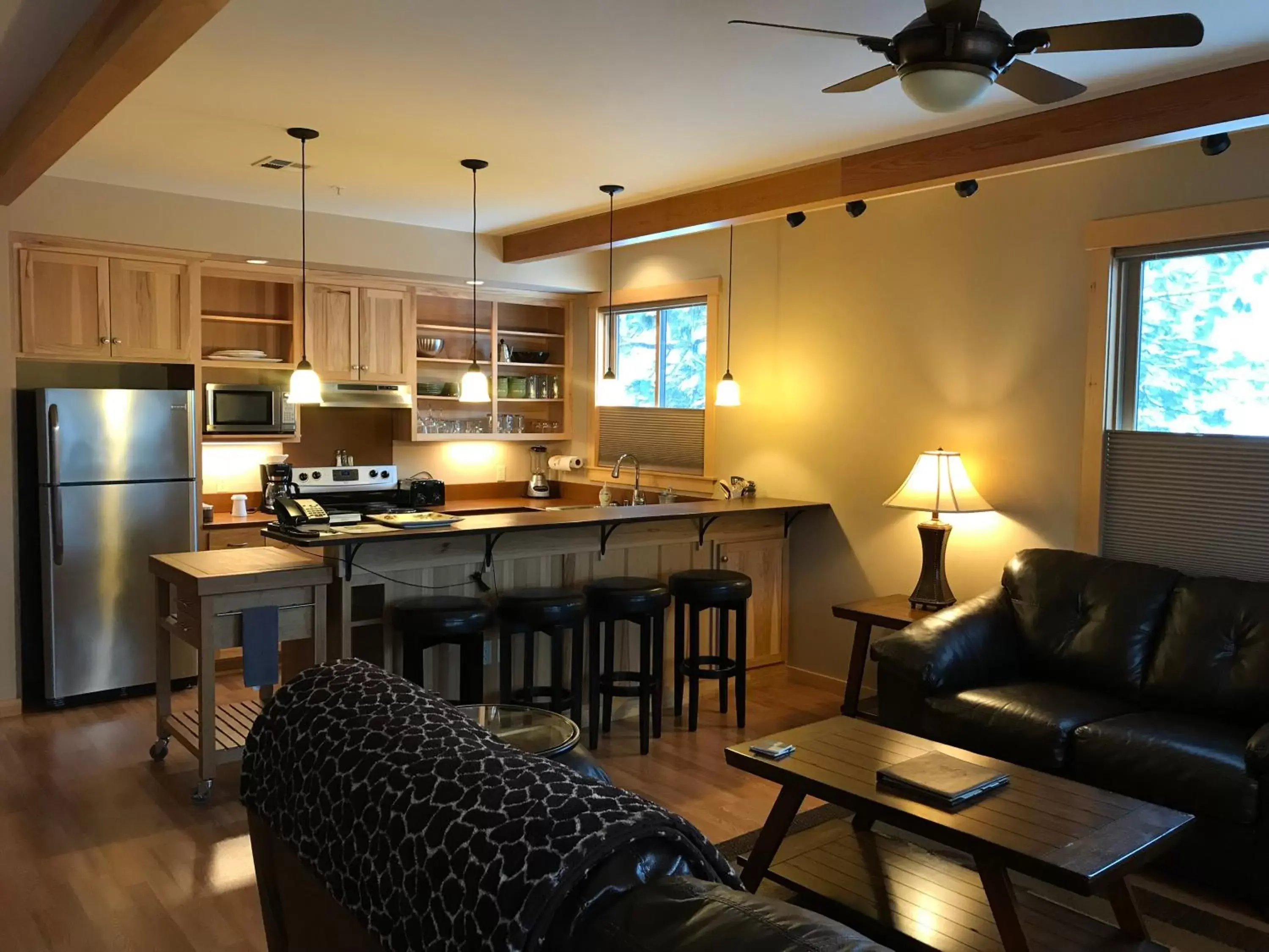 Kitchen or kitchenette, Seating Area in Twisp River Suites