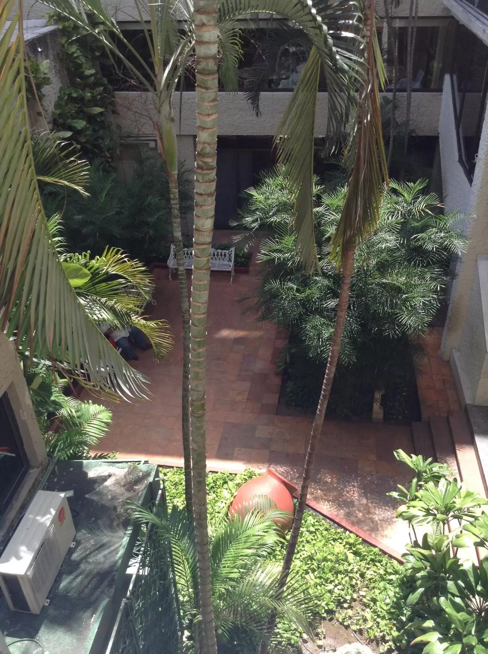 Garden view, Pool View in Hotel Los Aluxes