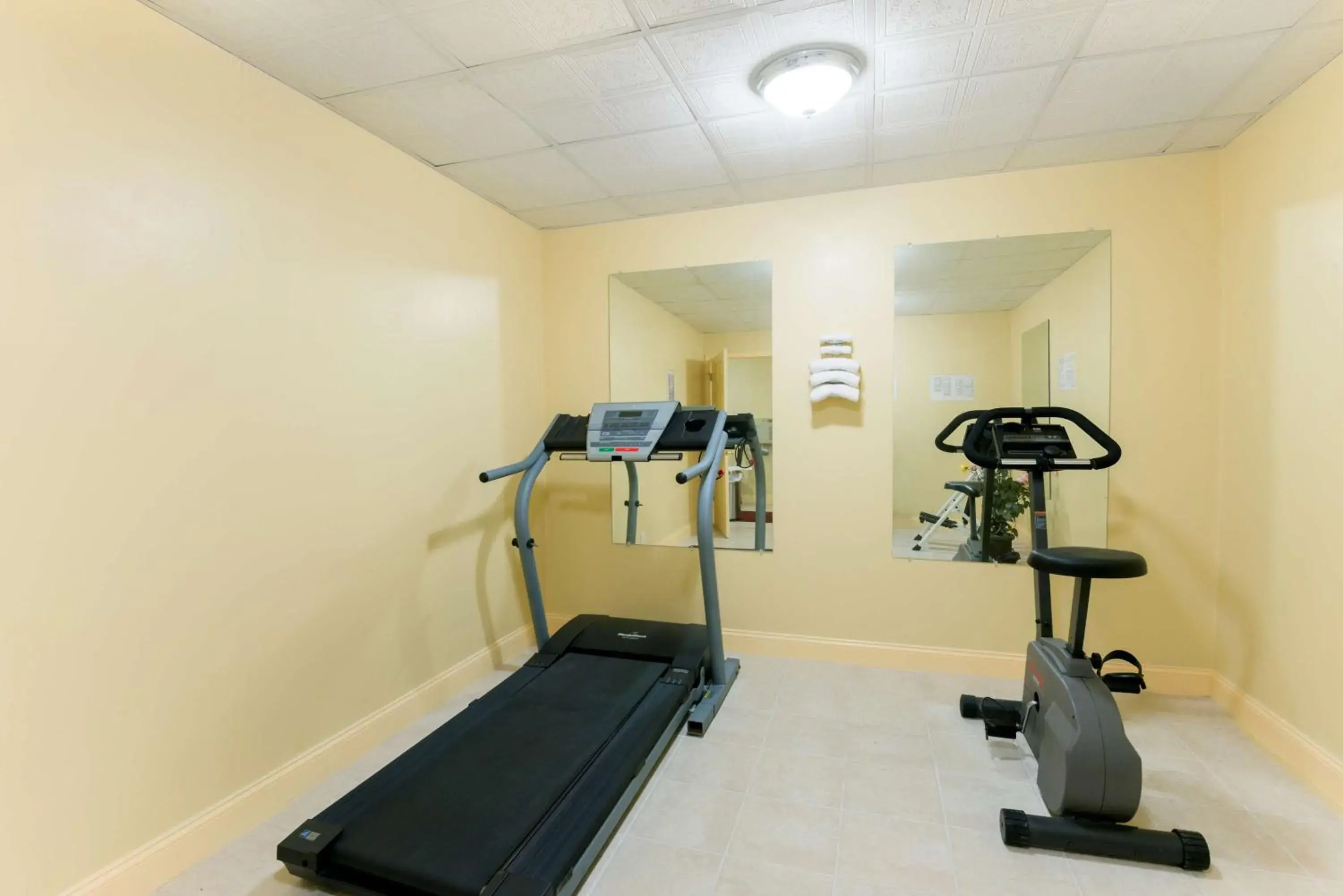 Fitness centre/facilities, Fitness Center/Facilities in Rodeway Inn