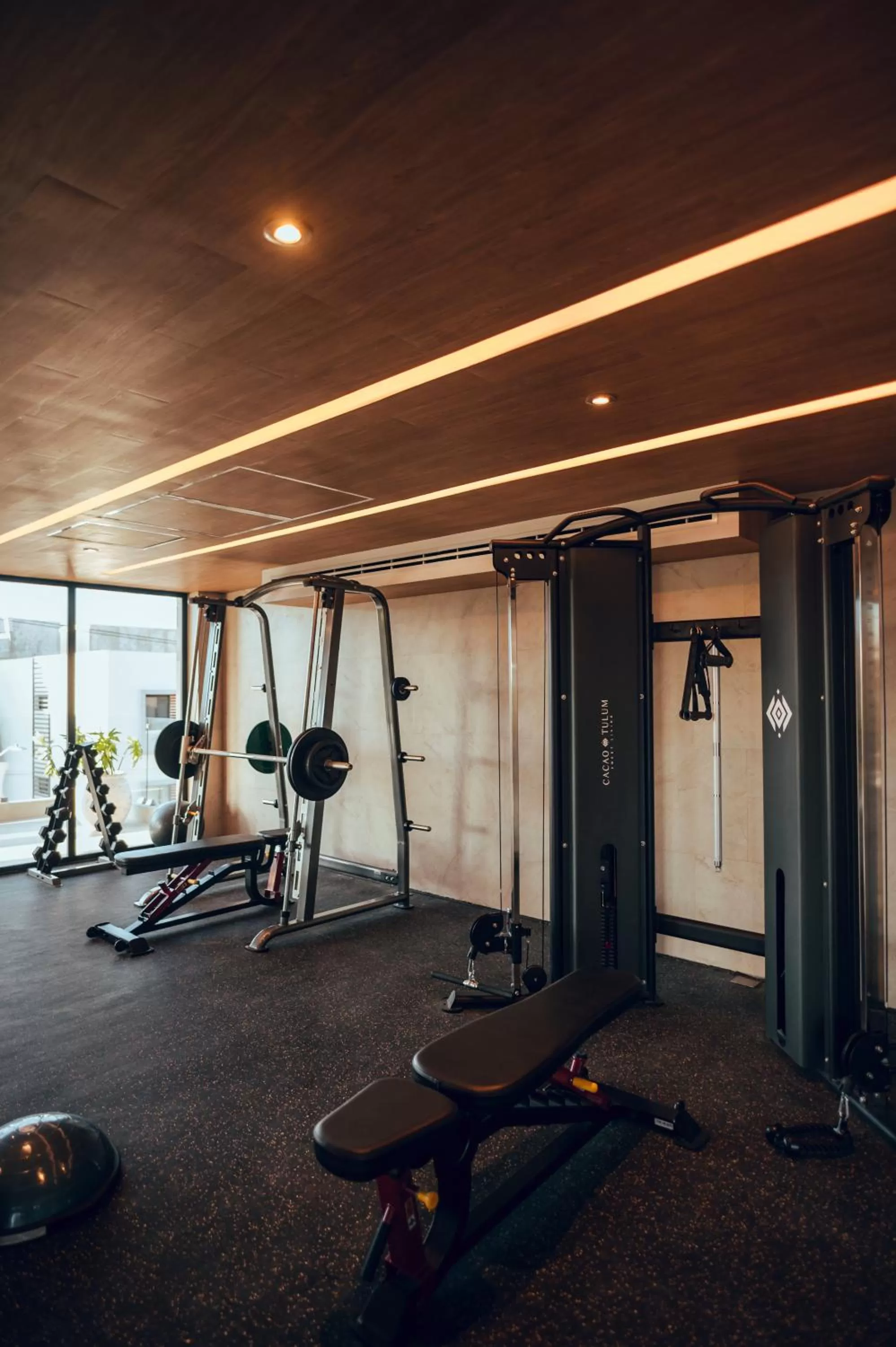 Fitness centre/facilities, Fitness Center/Facilities in Cacao Tulum -Luxury Condos-