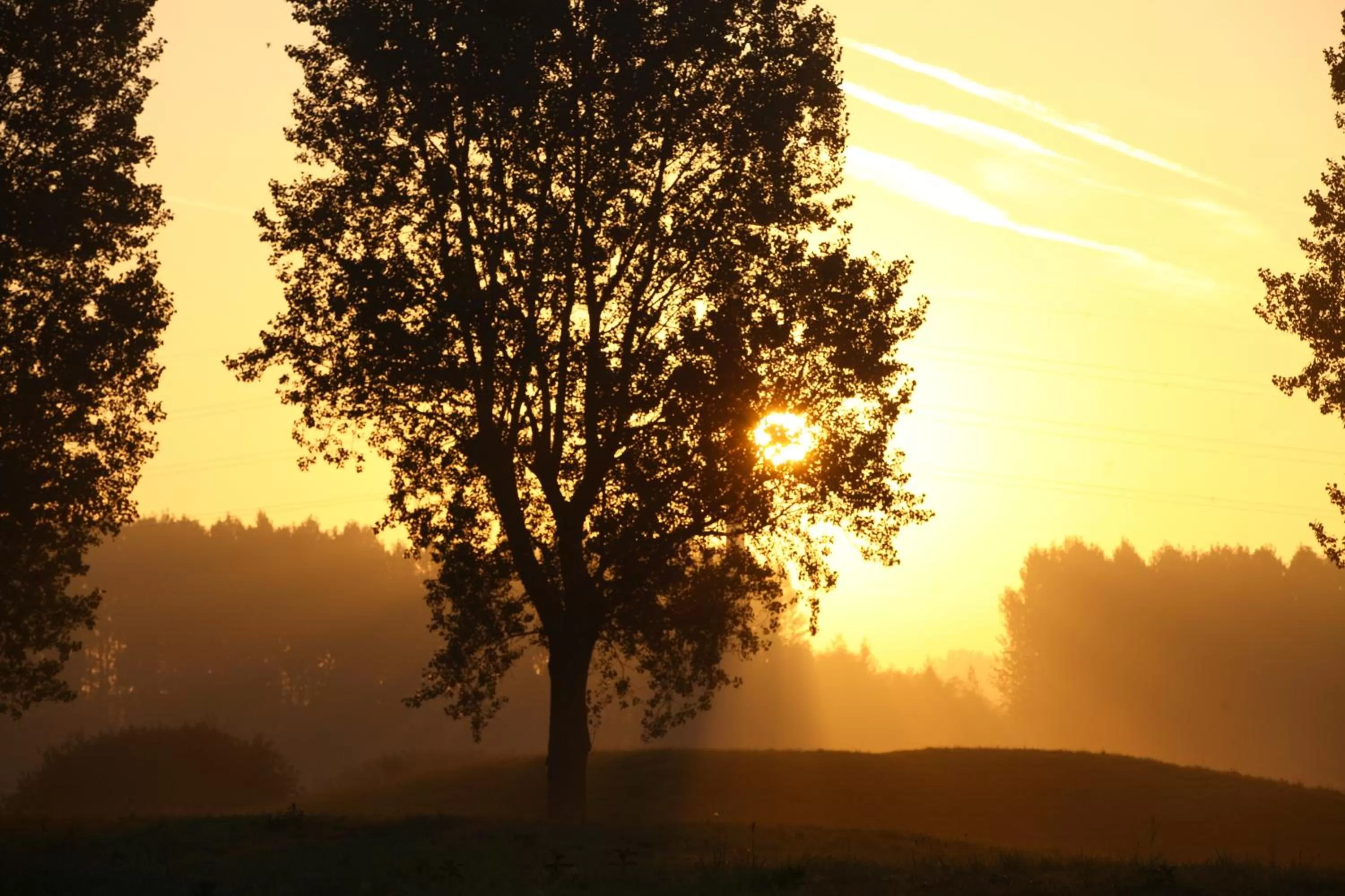 Natural landscape in Best Western Hotel du Lac Dunkerque- Restaurant ouvert 7/7 midi et soir