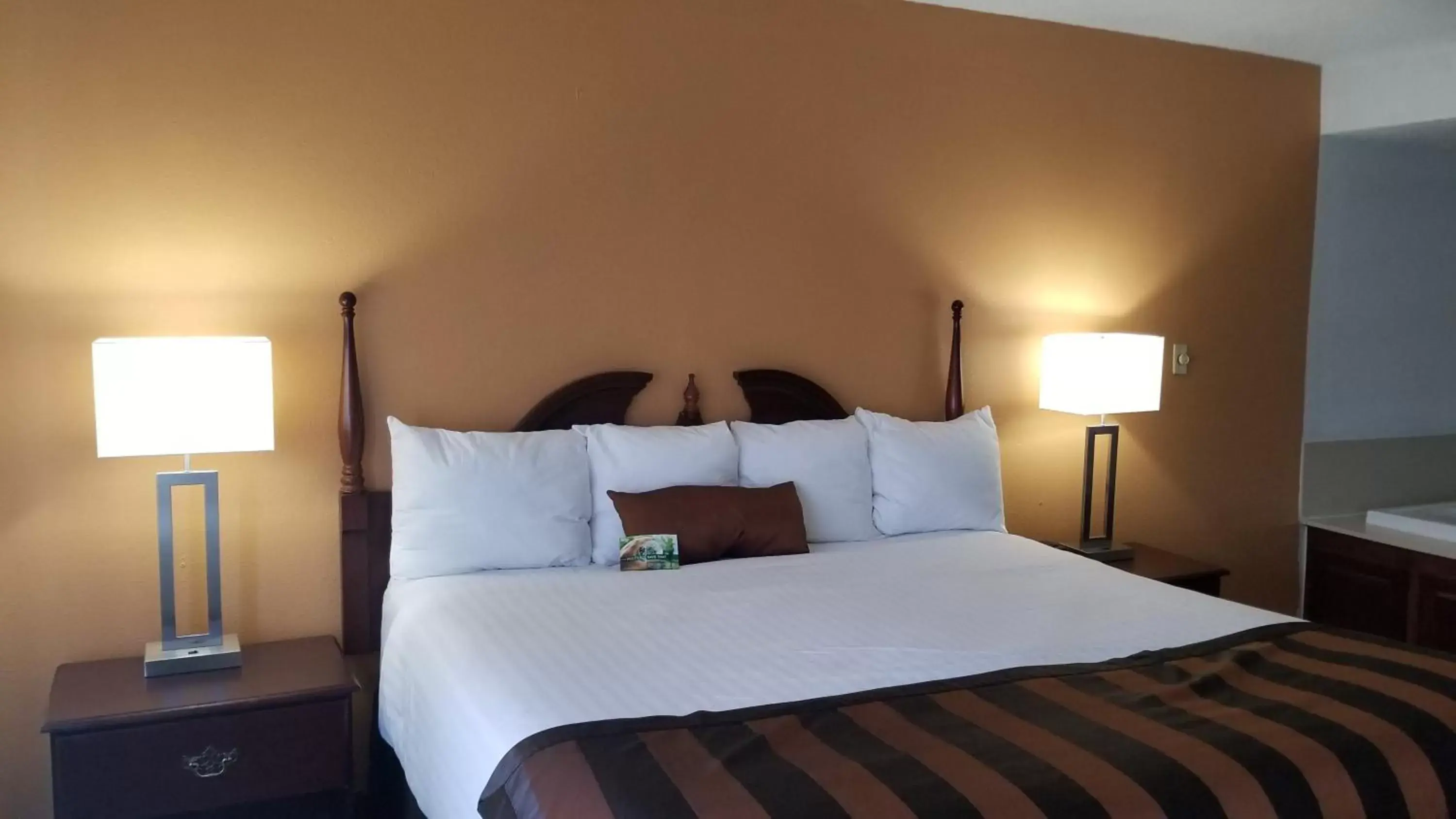 Bed in Wingate by Wyndham Airport - Rockville Road