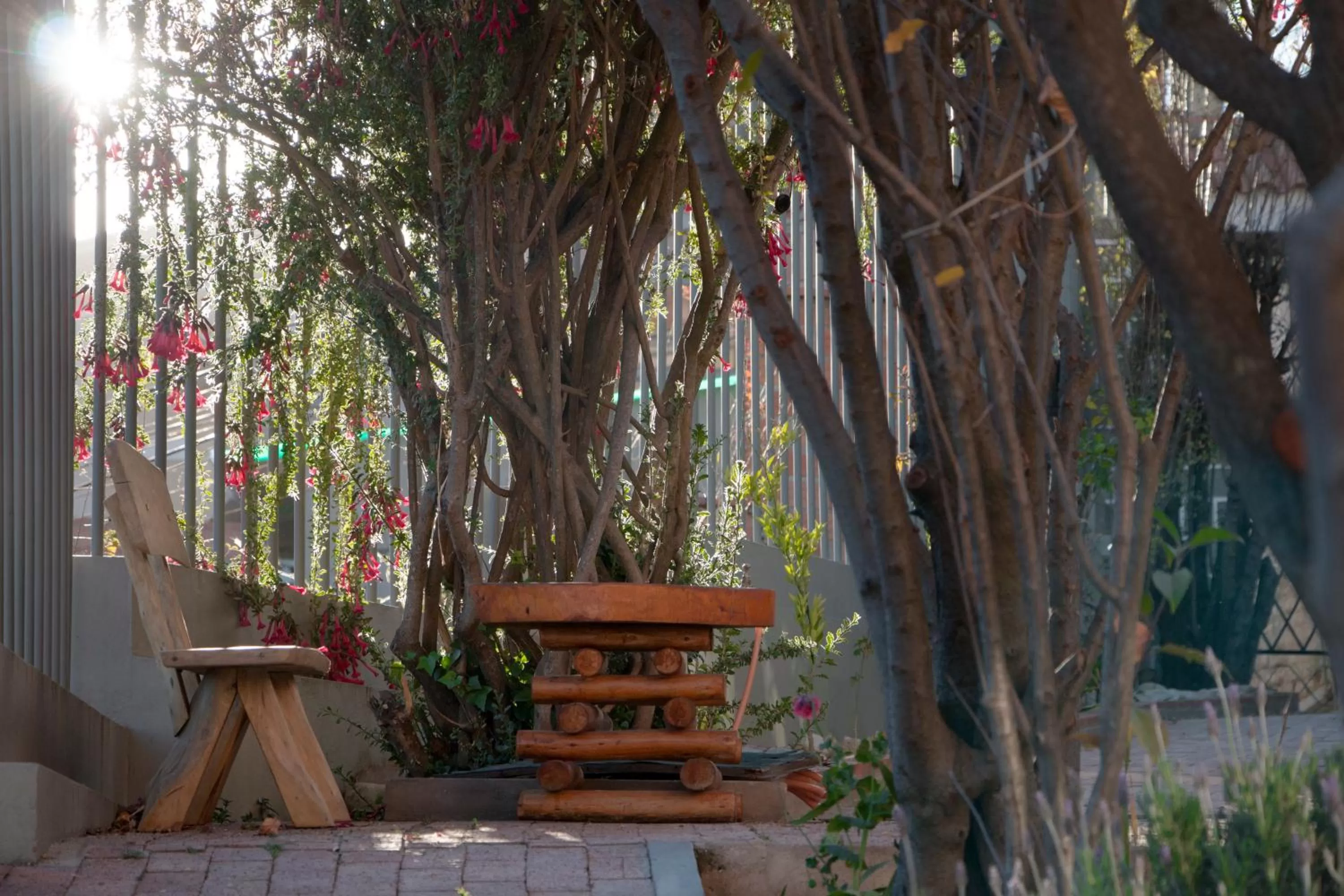 Garden in Qhini Hotel Boutique