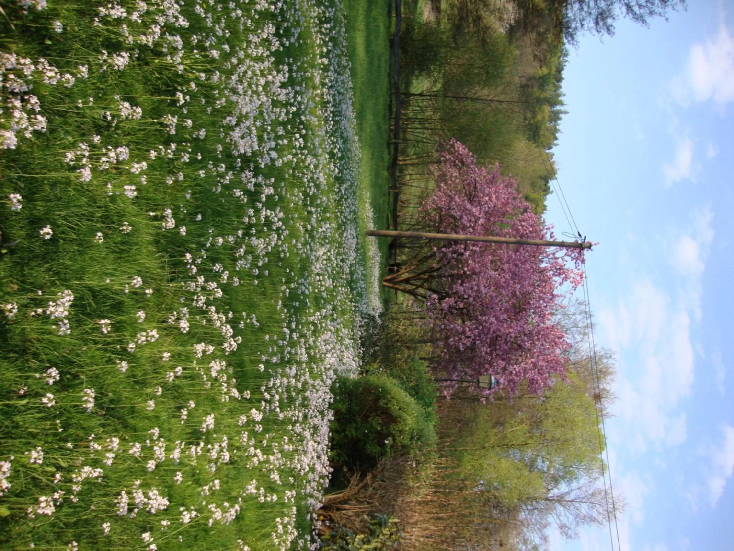 Day in Hotel Restaurant Paradeismühle